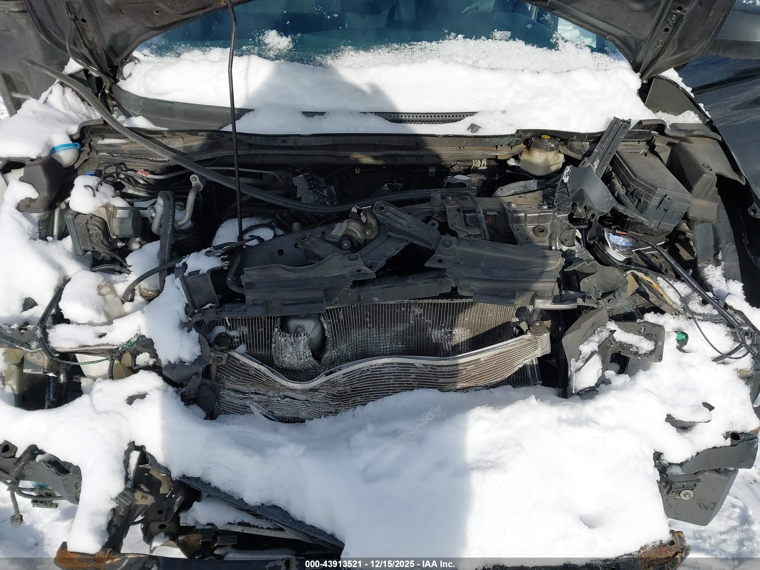 HONDA CR-V image 10
