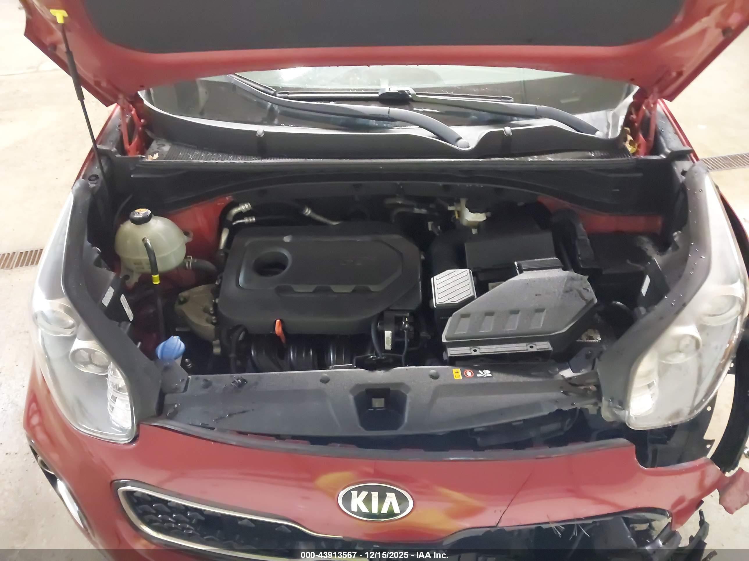 KIA SPORTAGE image 10