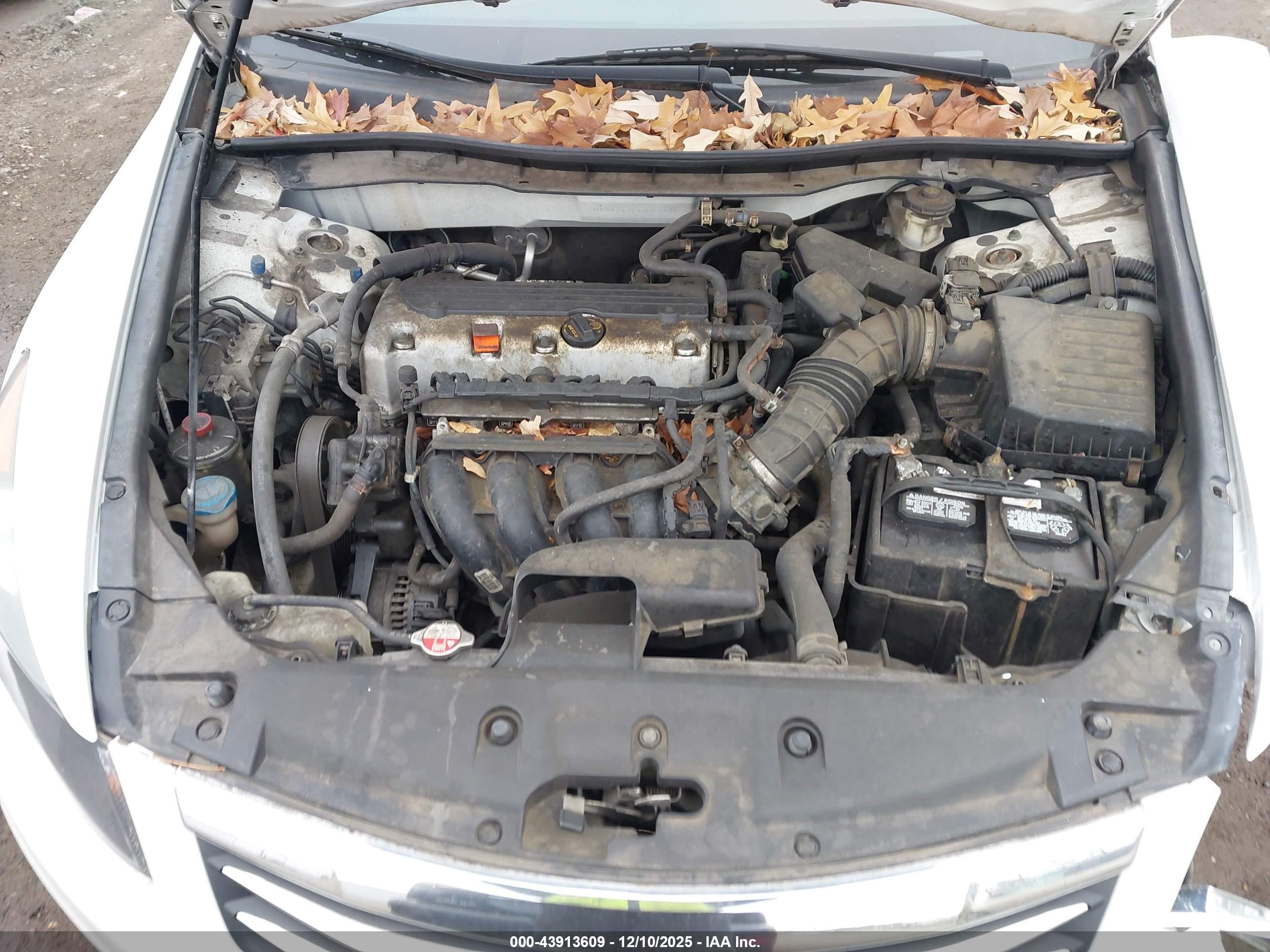 HONDA ACCORD image 10