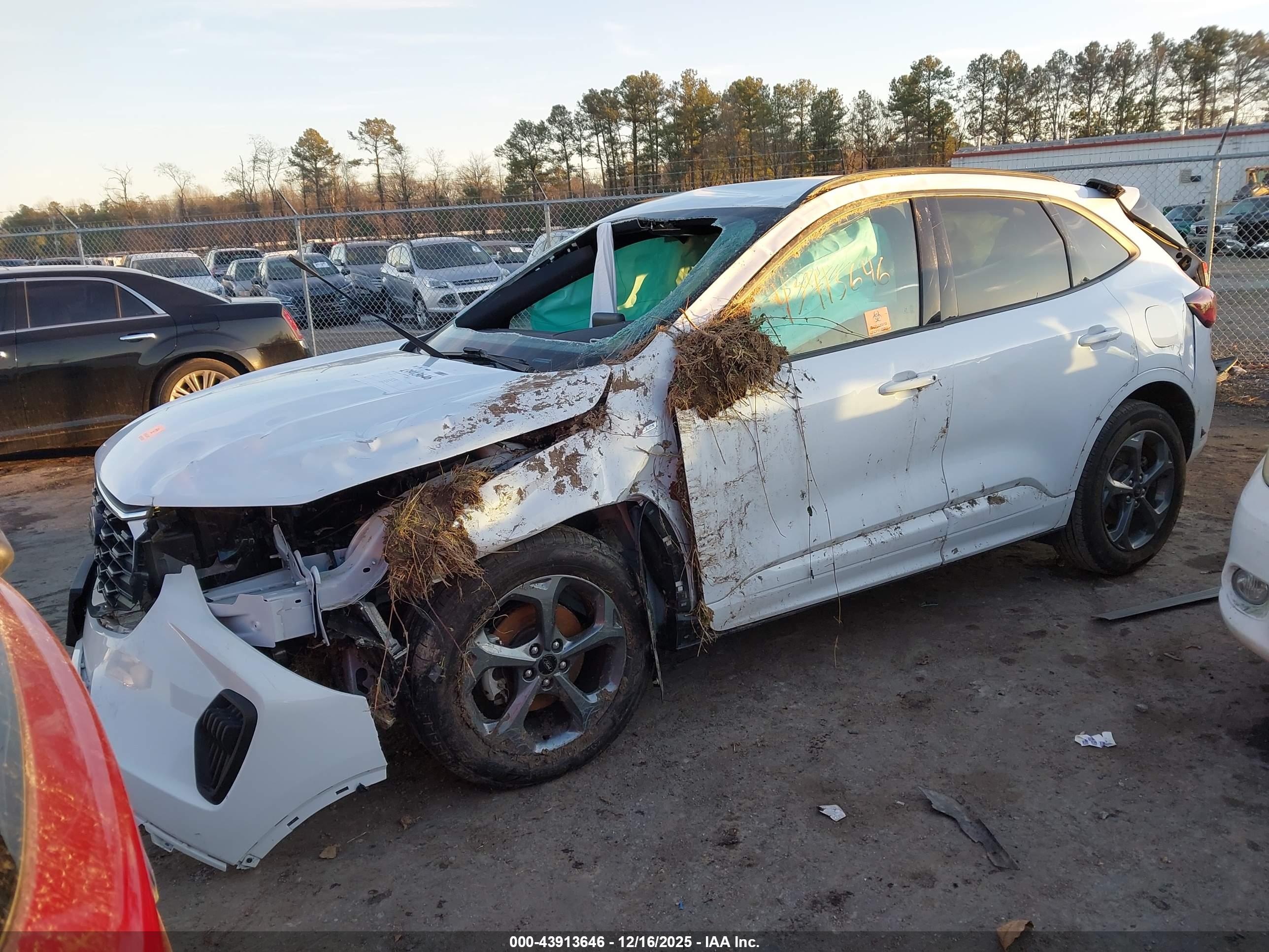 FORD ESCAPE image 2