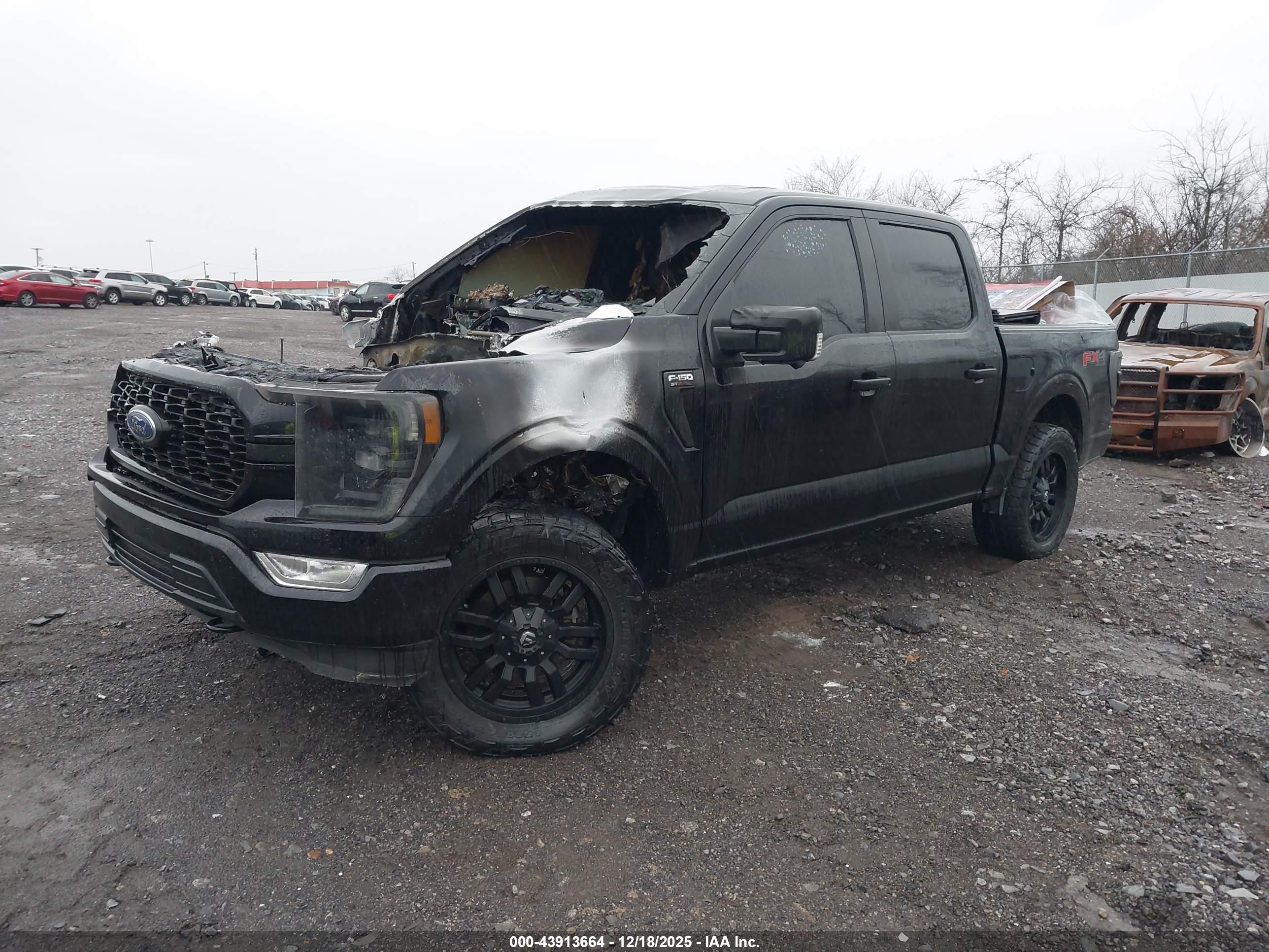 FORD F-150 image 2