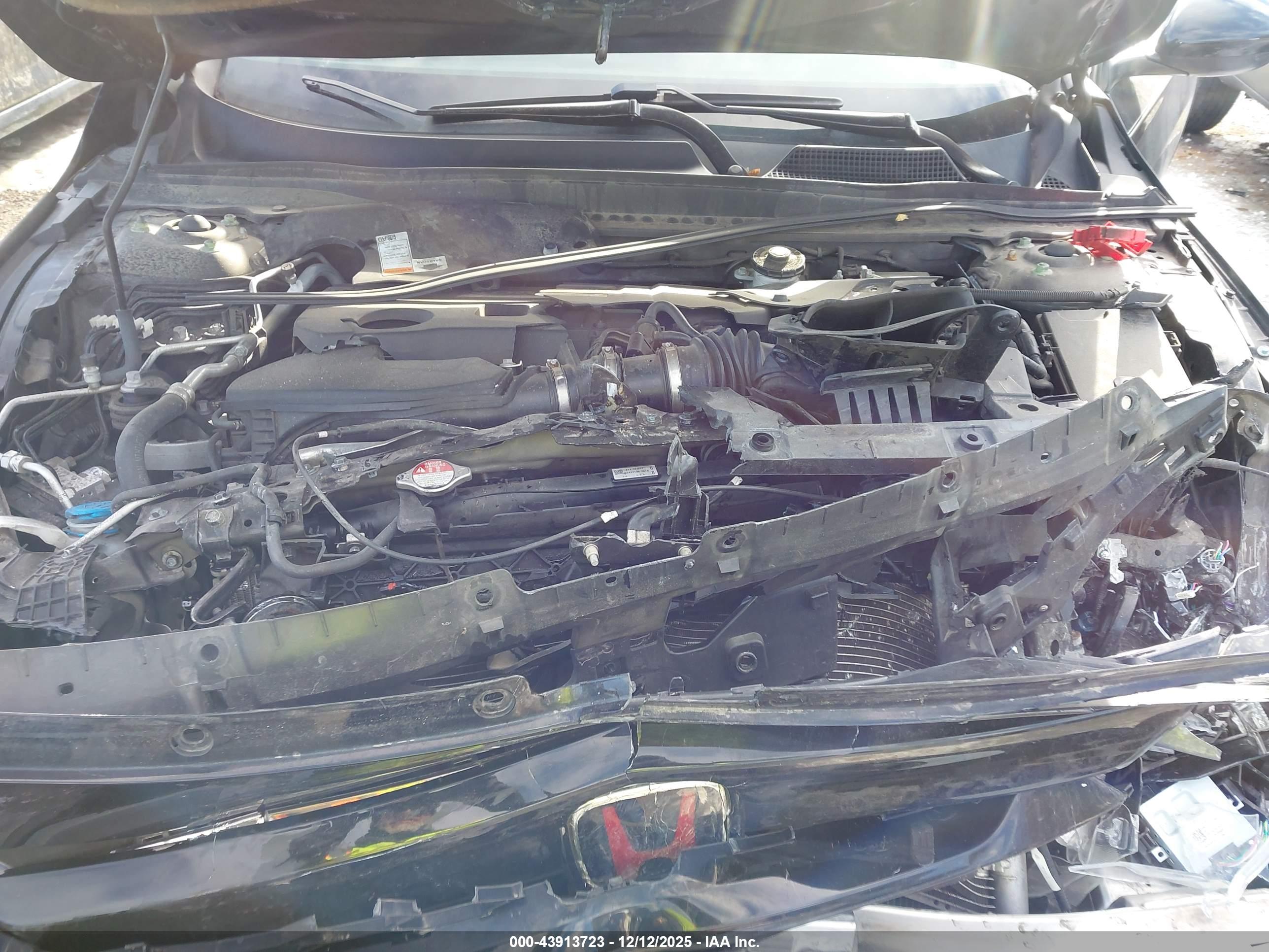 HONDA ACCORD image 10