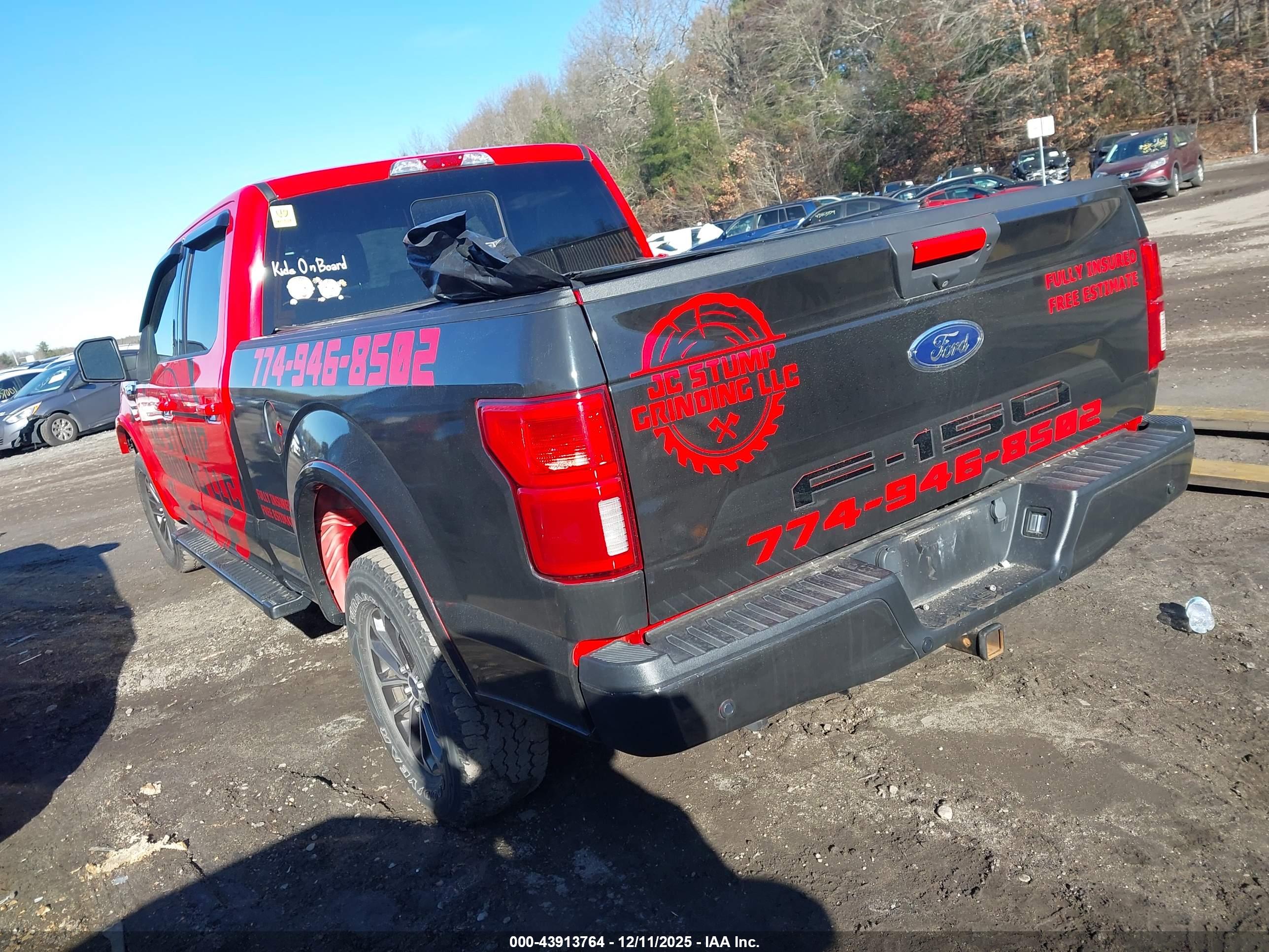 FORD F-150 image 3