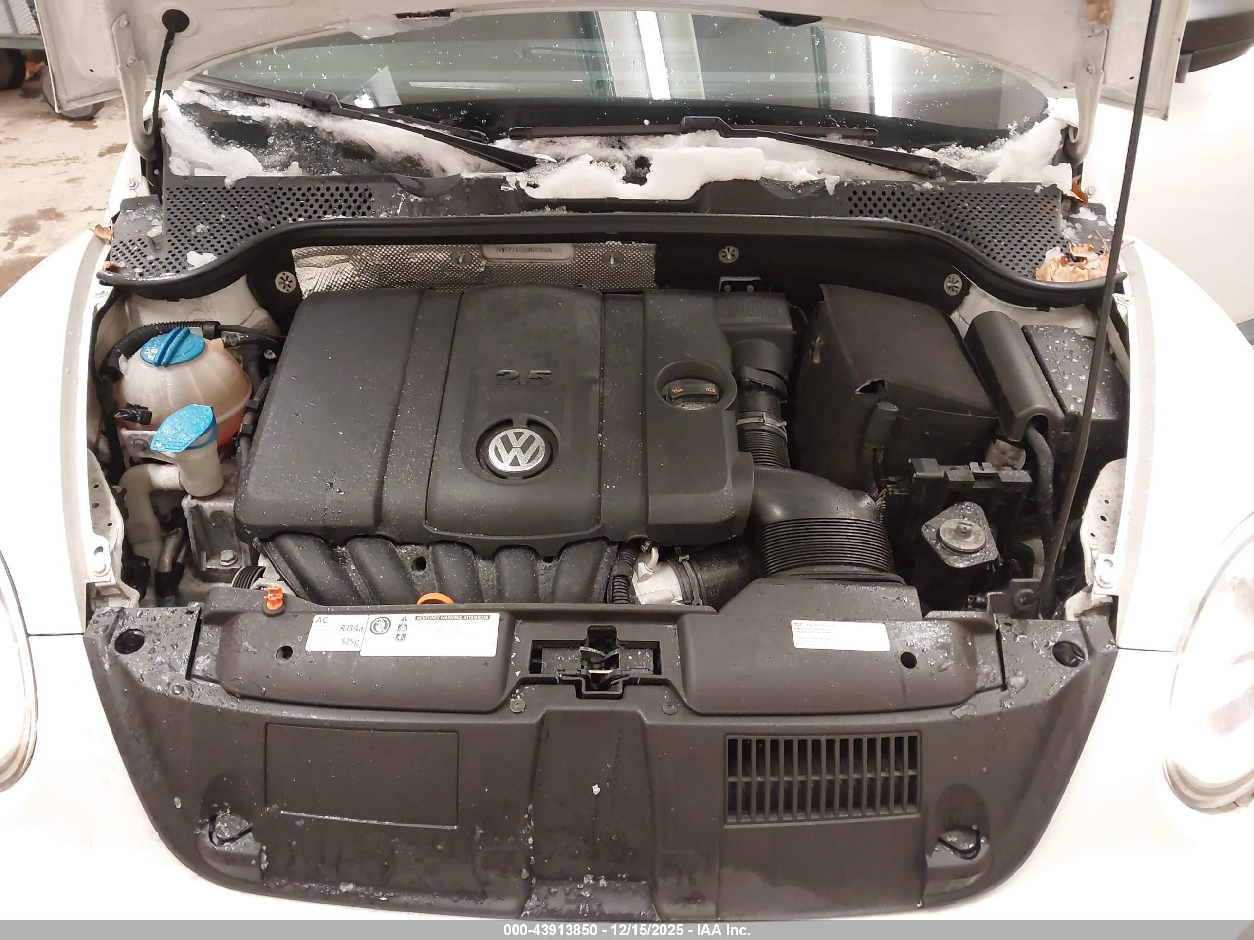 VOLKSWAGEN BEETLE image 10
