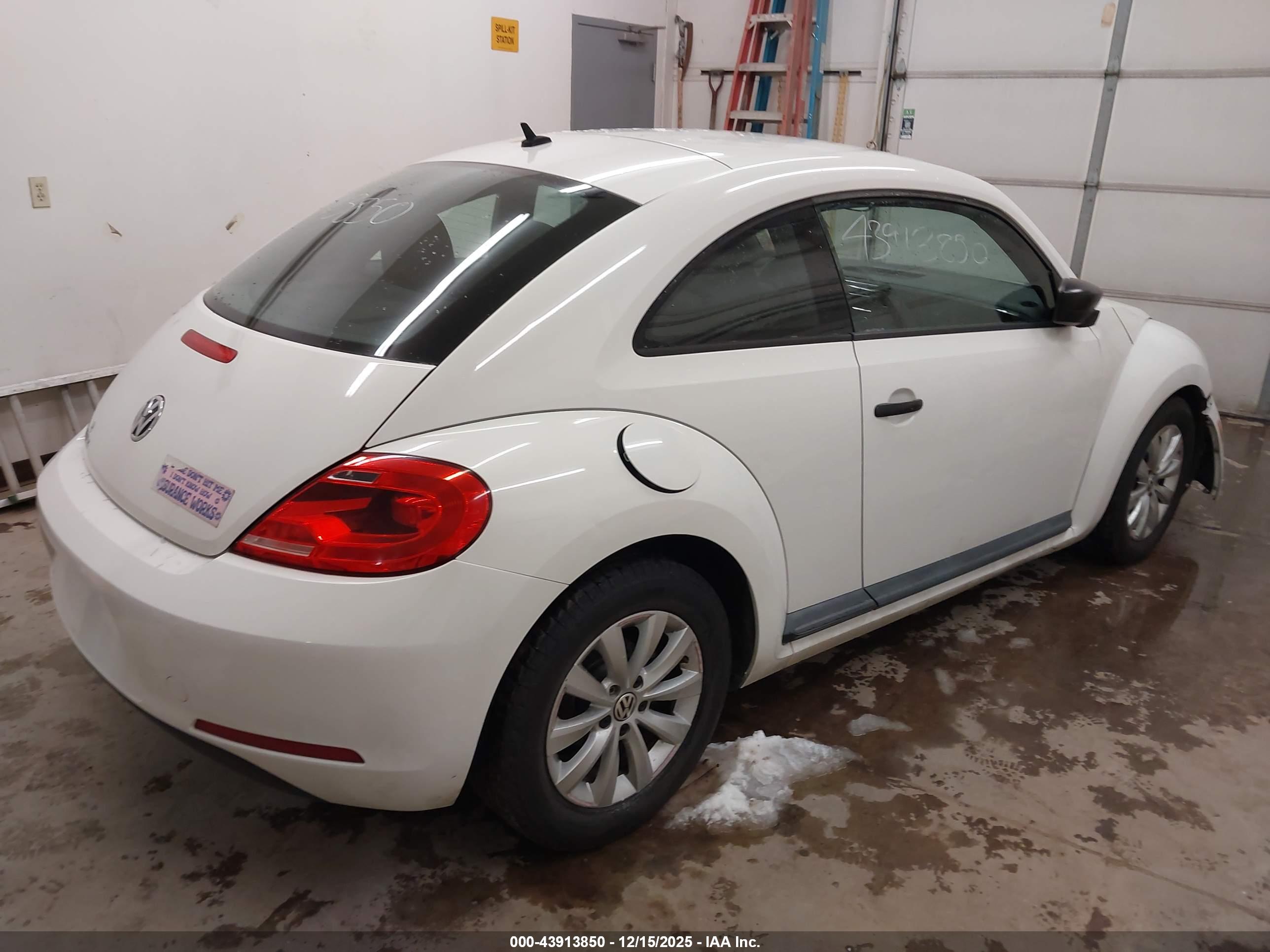 VOLKSWAGEN BEETLE image 4