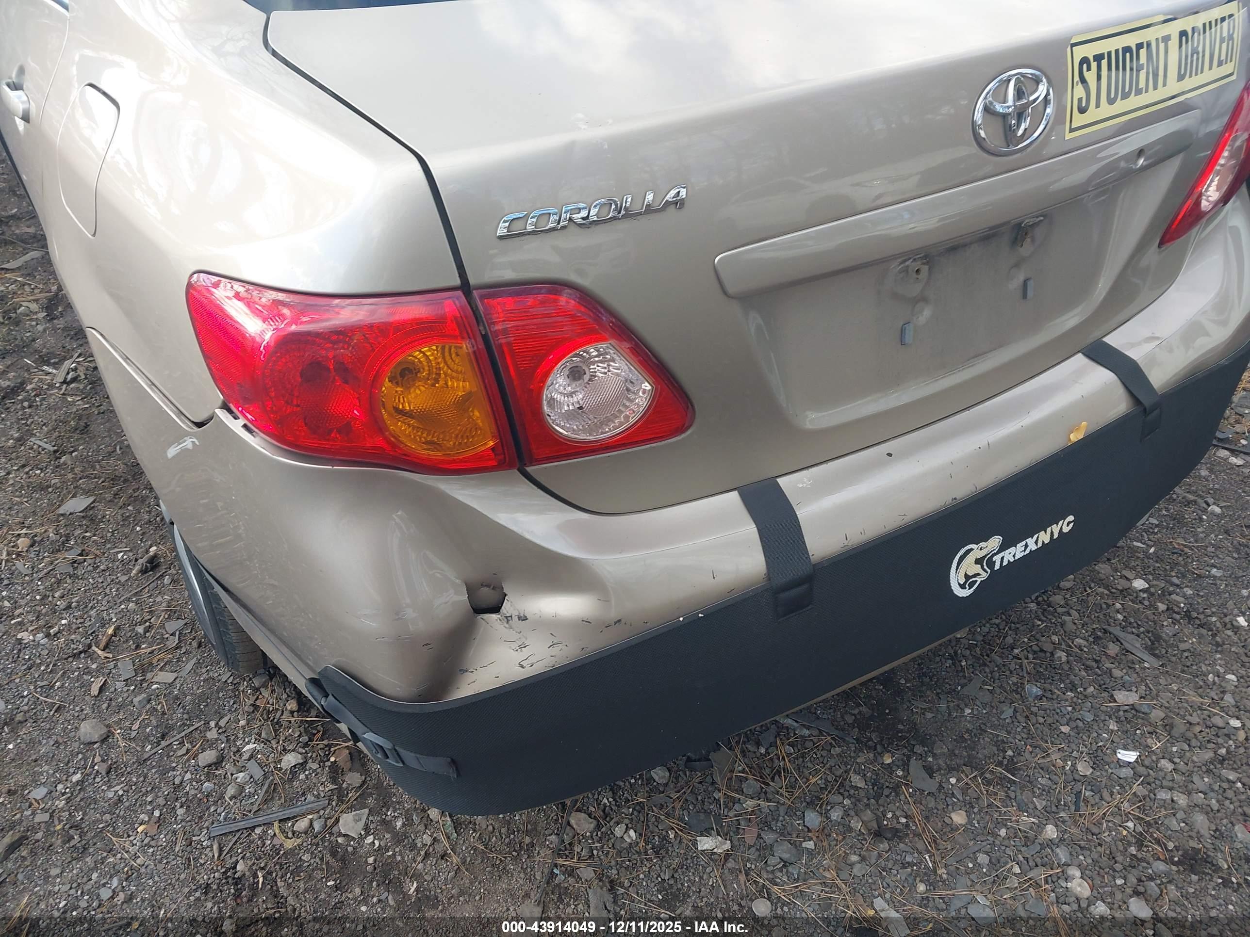 TOYOTA COROLLA image 6