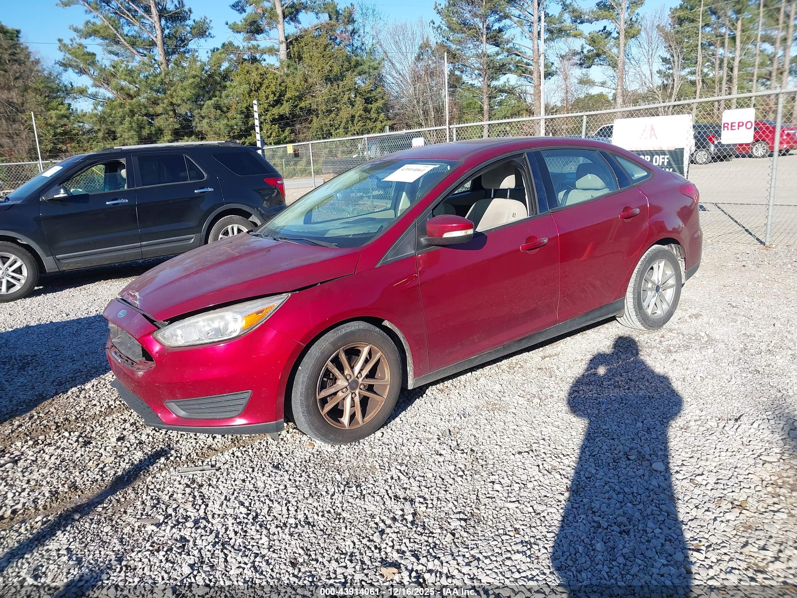 FORD FOCUS image 2