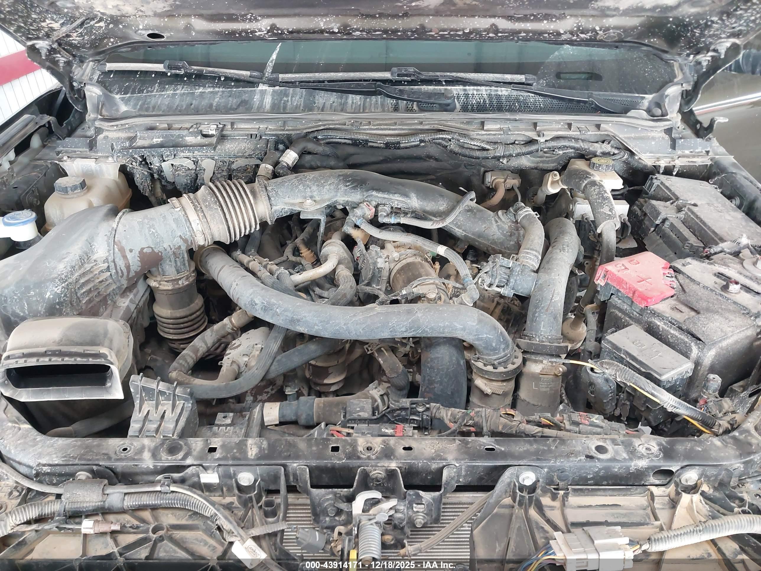 FORD RANGER image 10