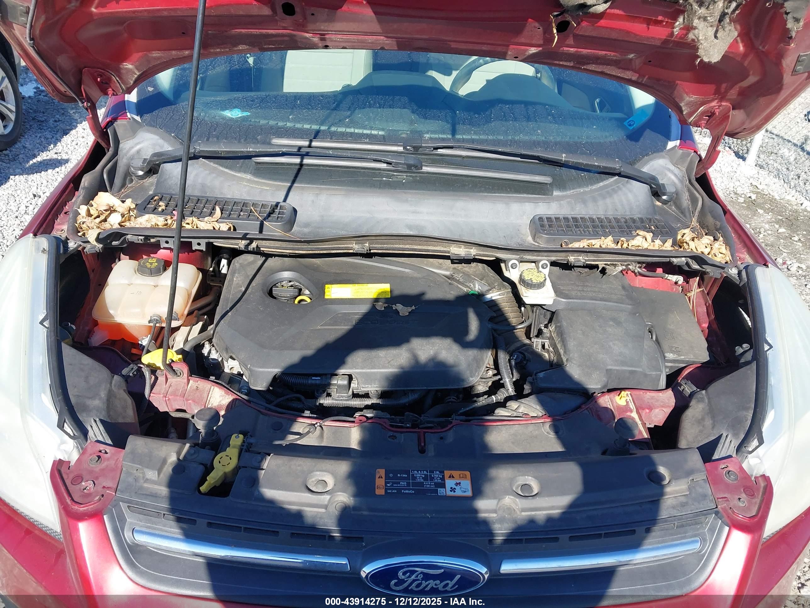 FORD ESCAPE image 10