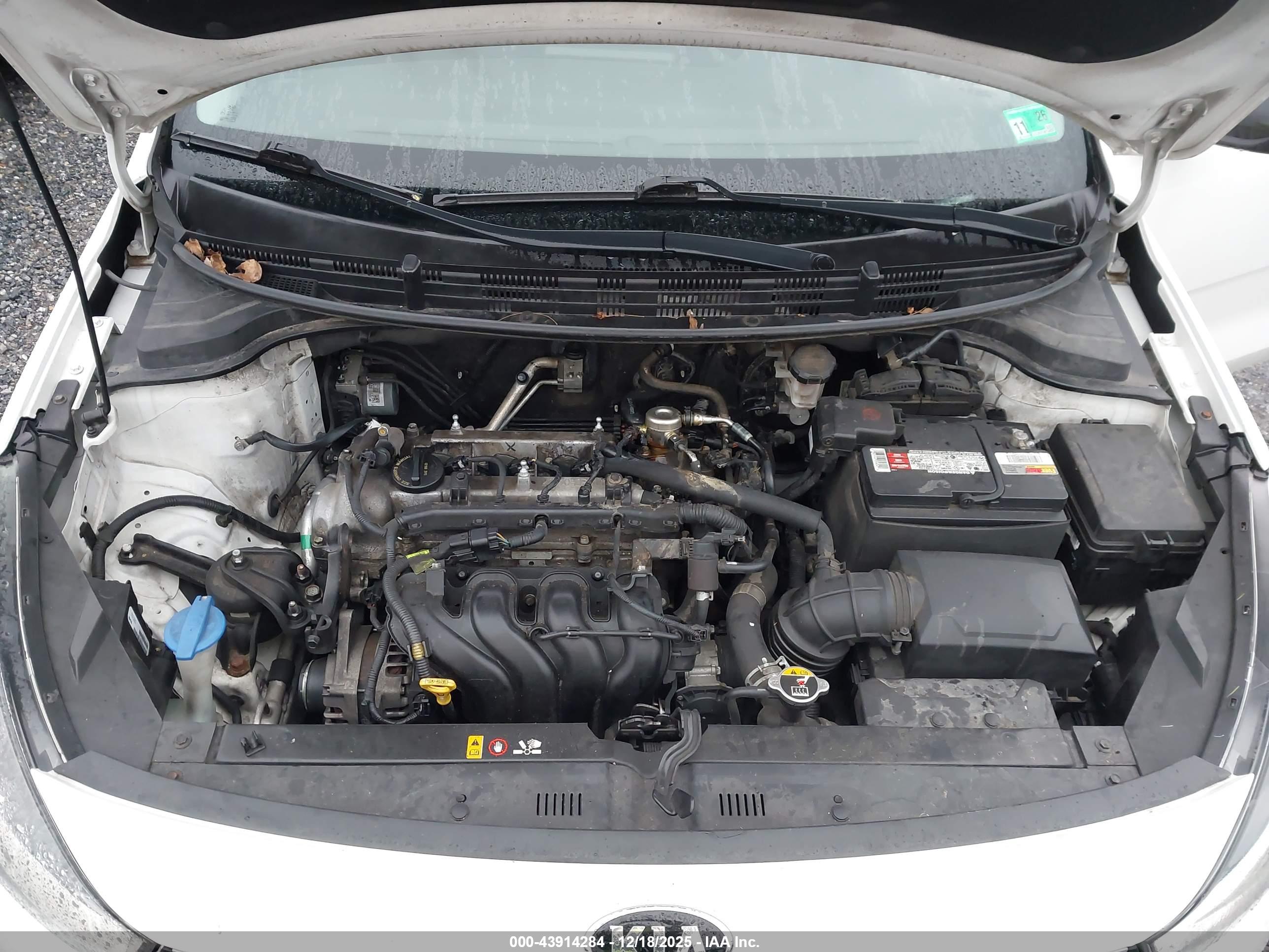 KIA RIO image 10
