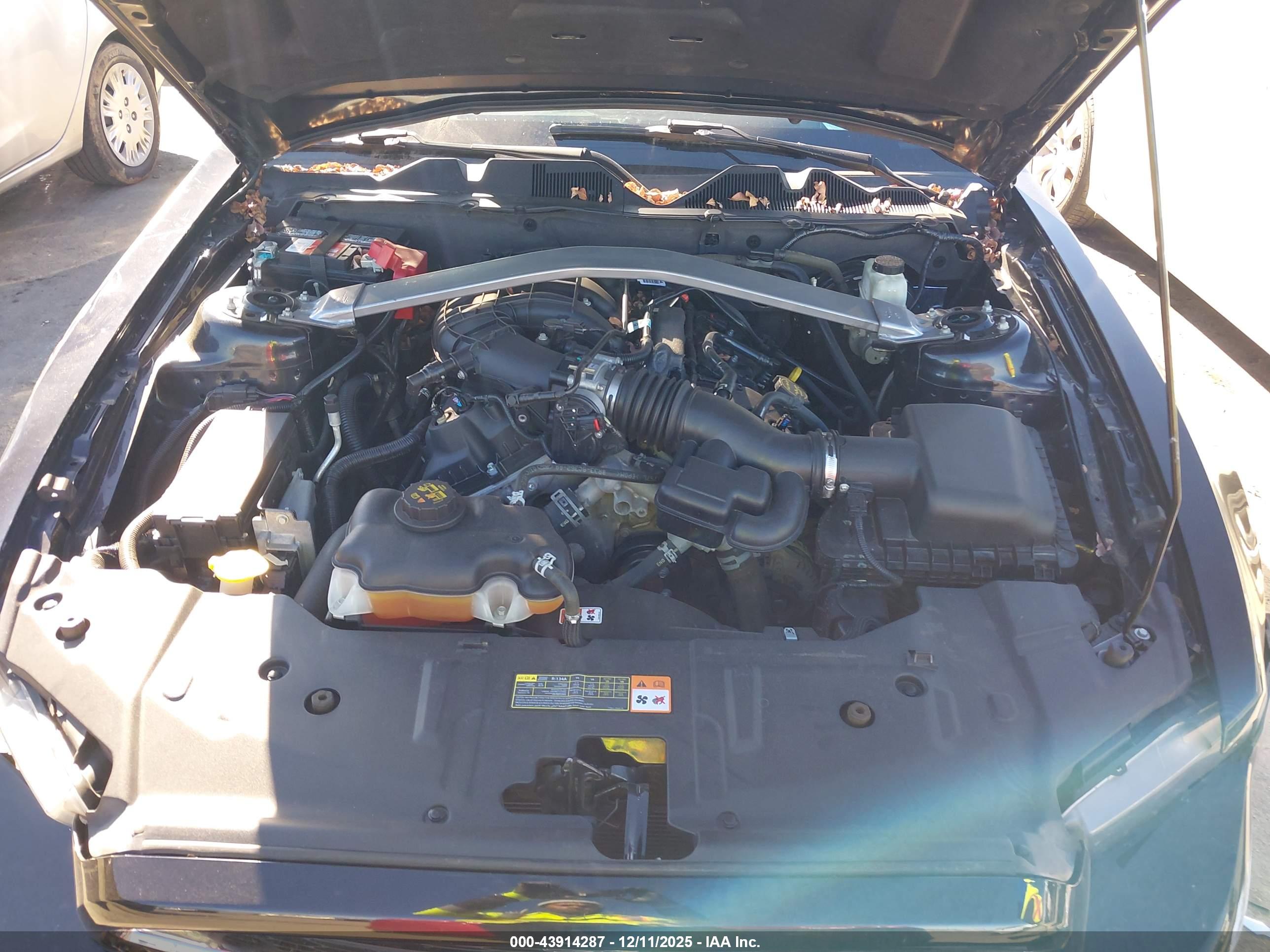 FORD MUSTANG image 10