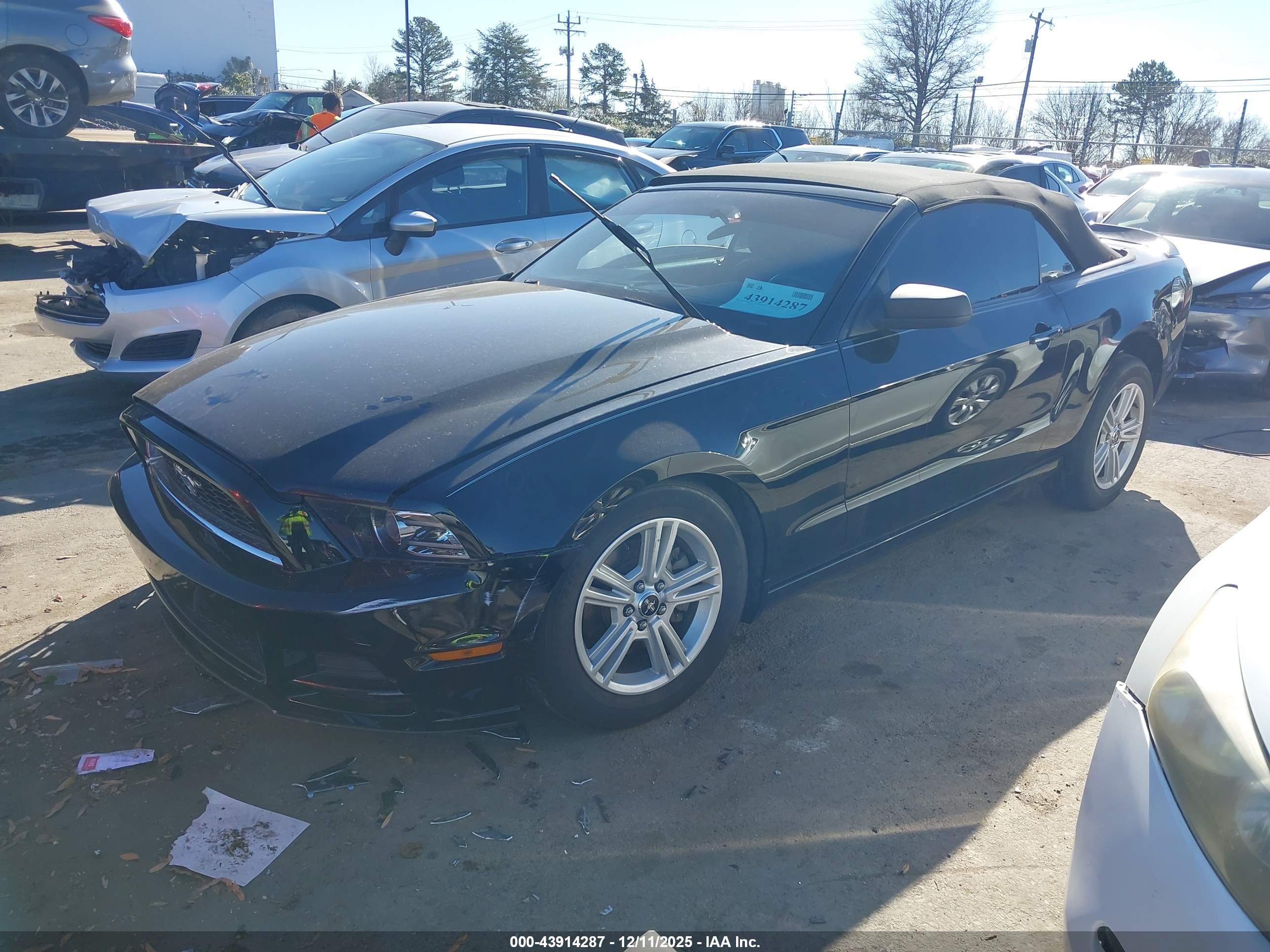 FORD MUSTANG image 2
