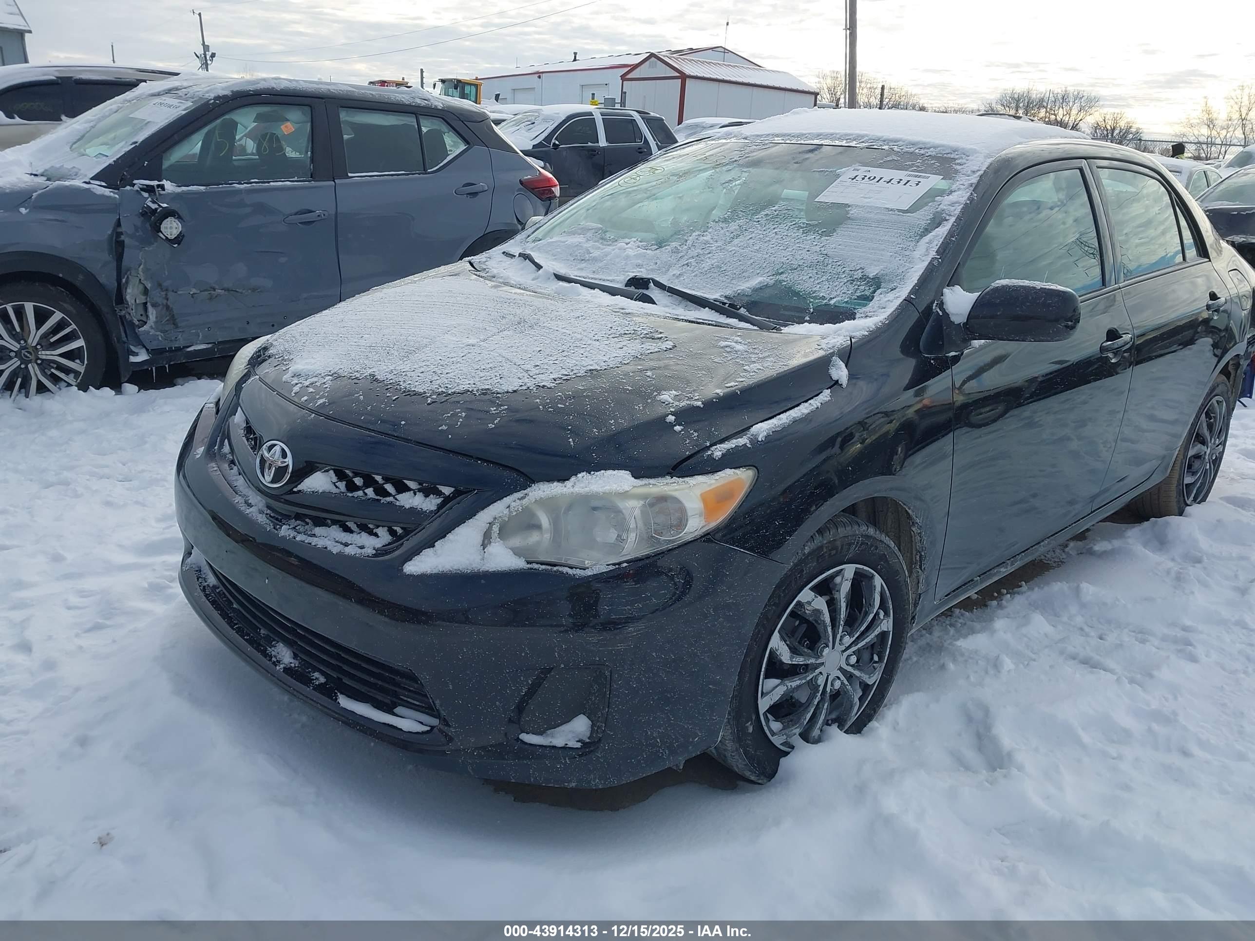 TOYOTA COROLLA image 2