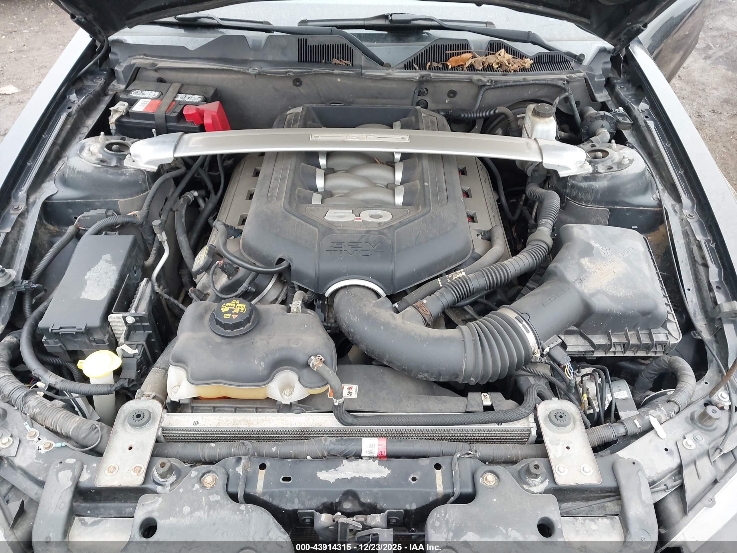 FORD MUSTANG image 10