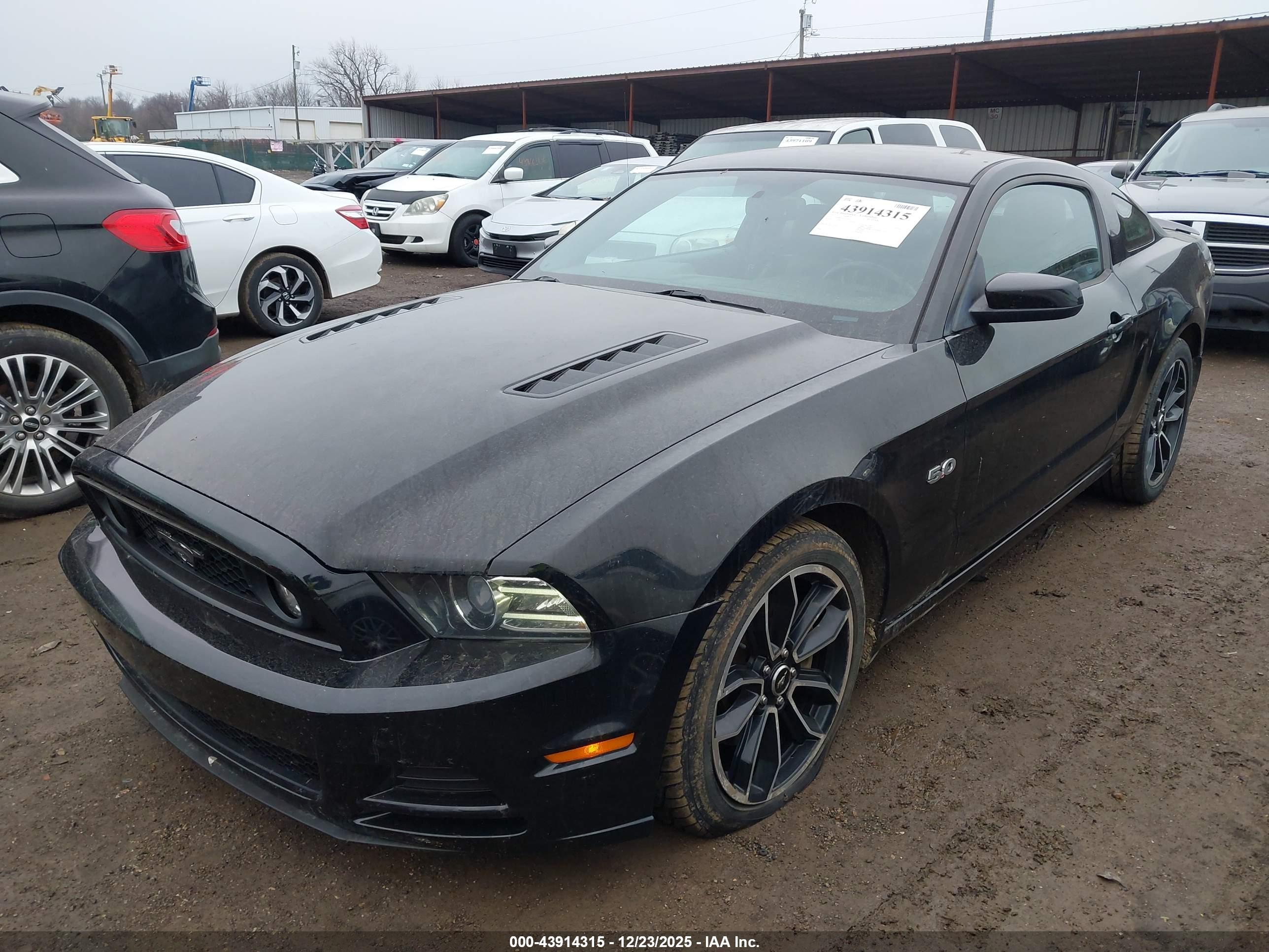 FORD MUSTANG image 2