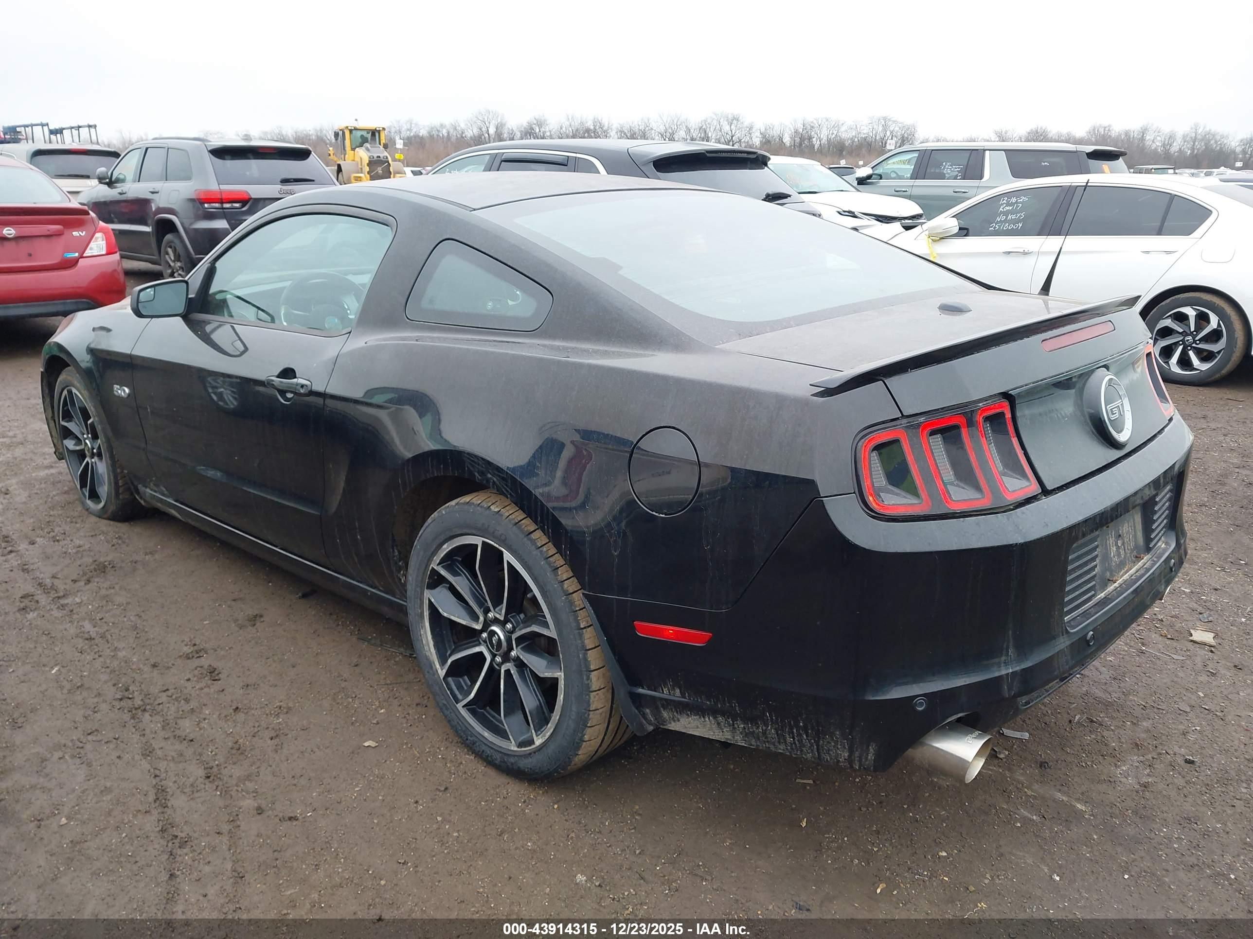 FORD MUSTANG image 3