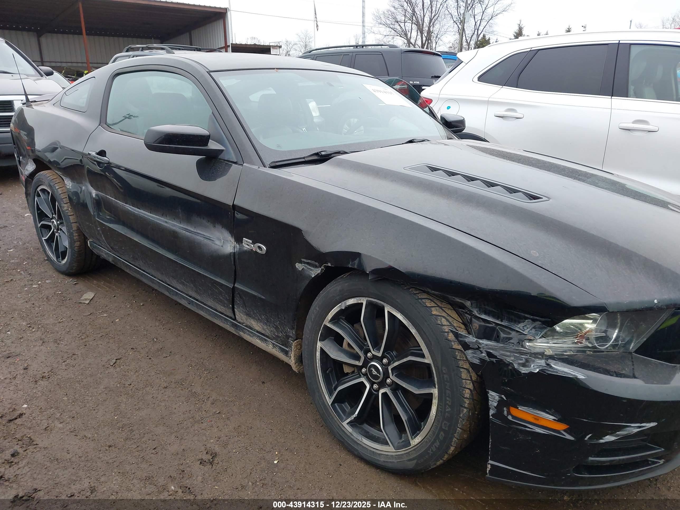 FORD MUSTANG image 6