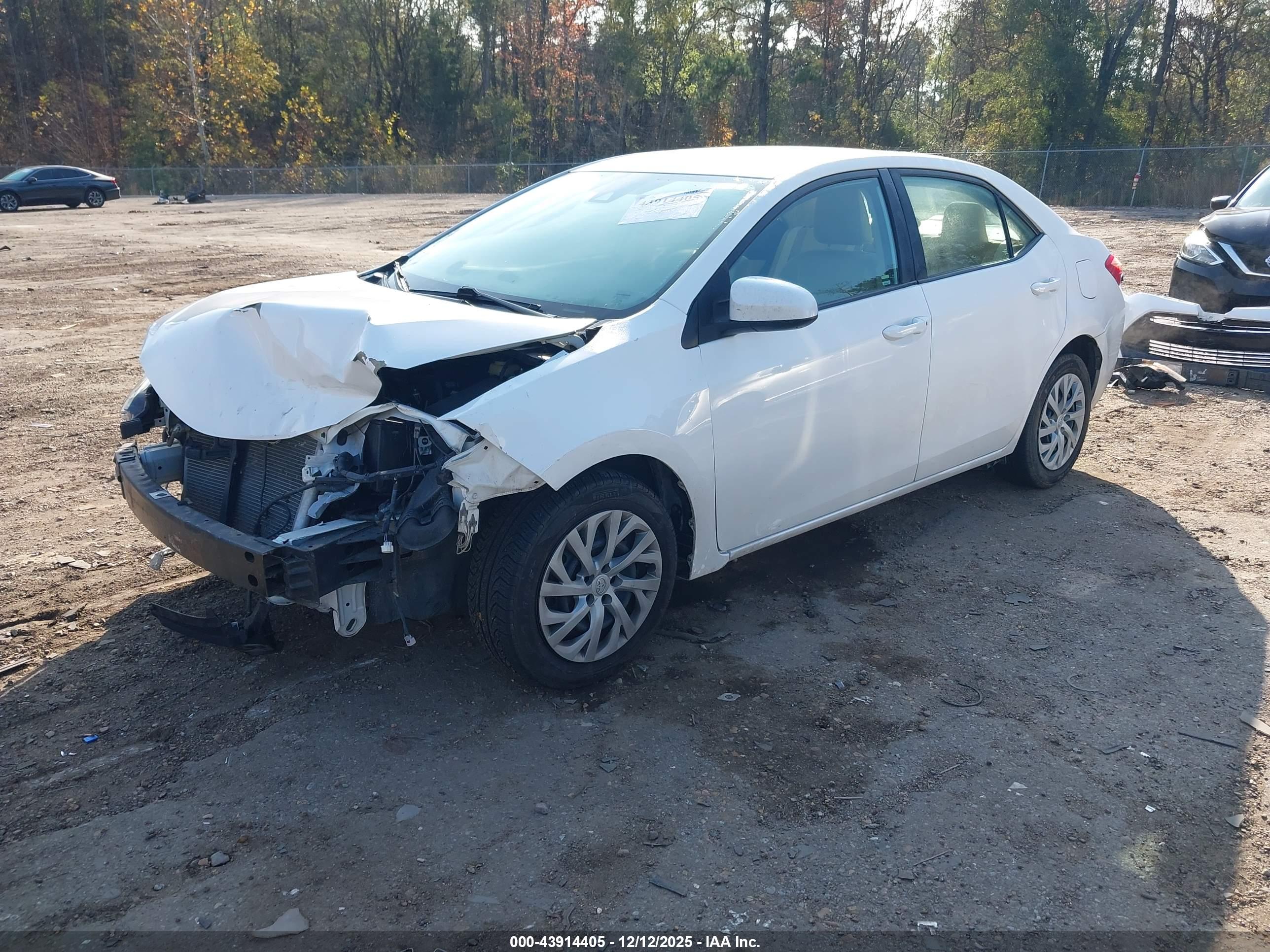 TOYOTA COROLLA image 2