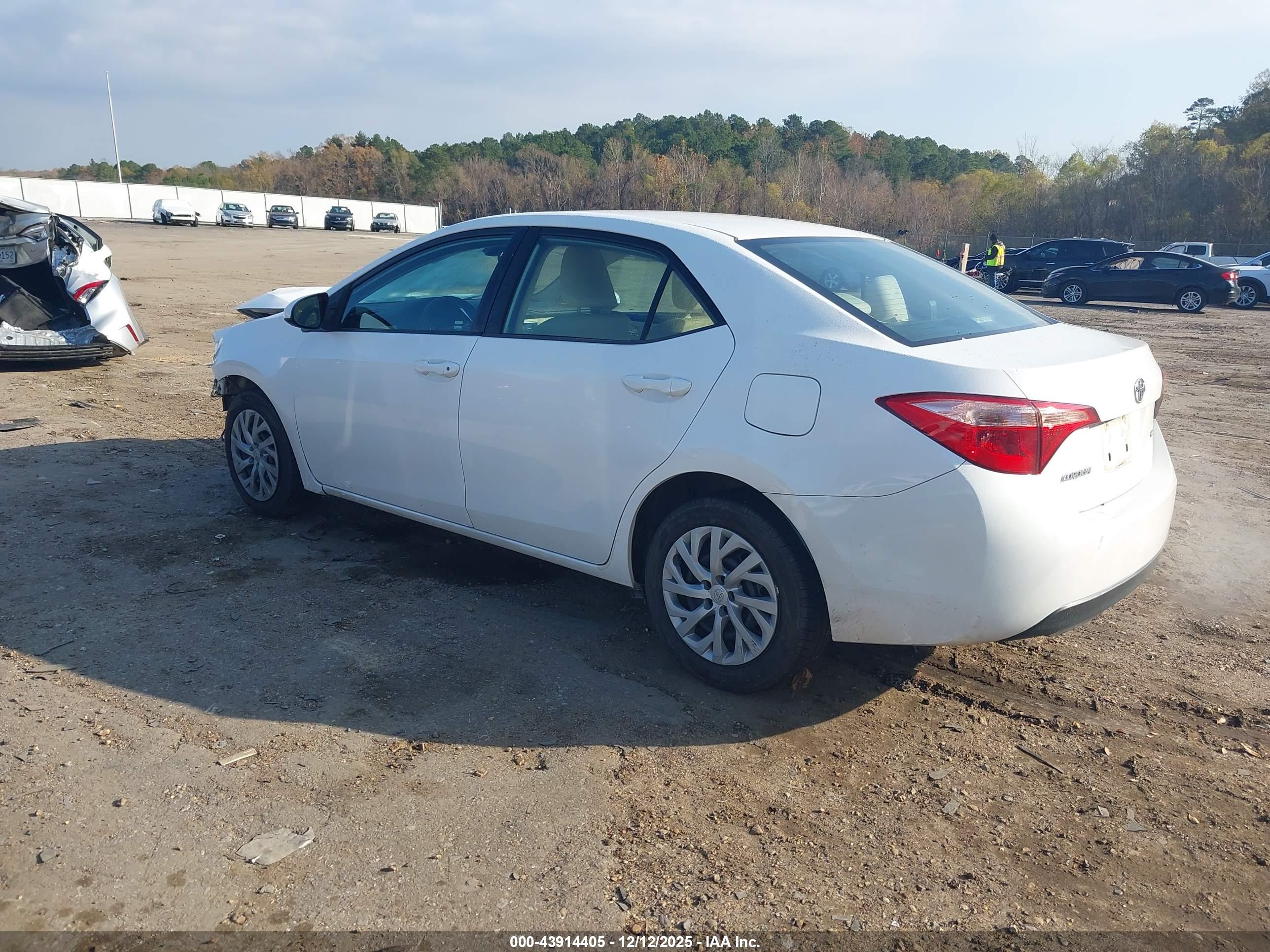 TOYOTA COROLLA image 3