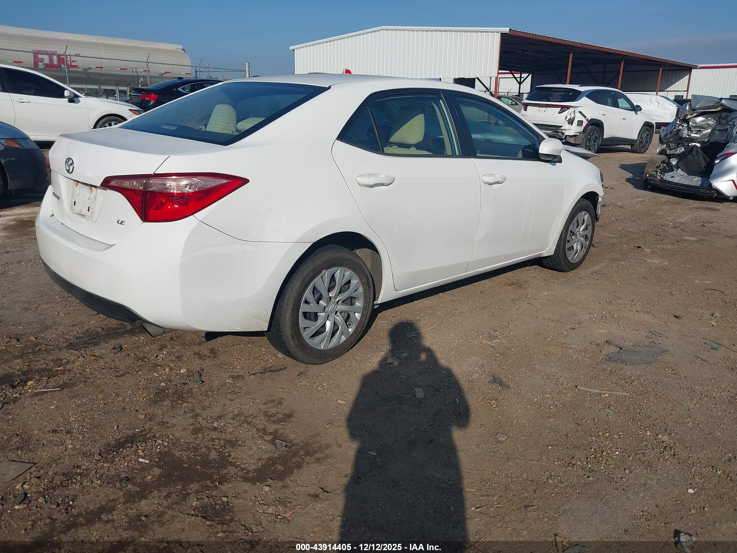 TOYOTA COROLLA image 4