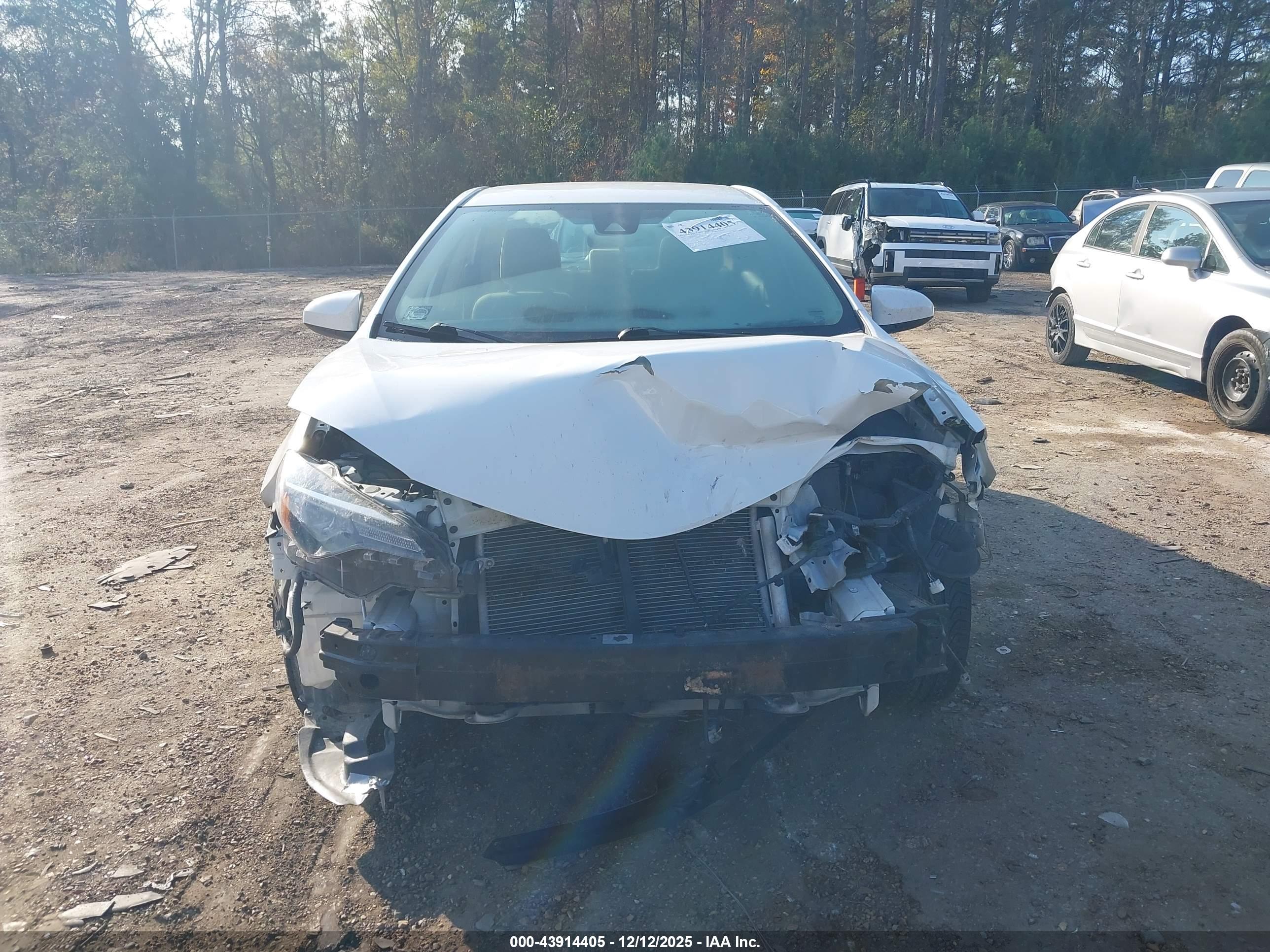 TOYOTA COROLLA image 6