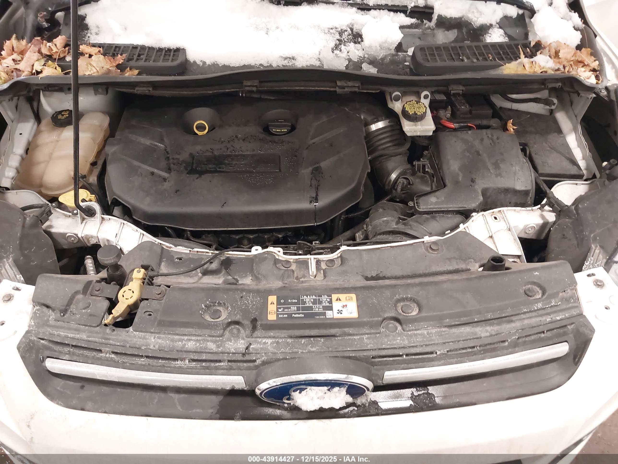 FORD ESCAPE image 10