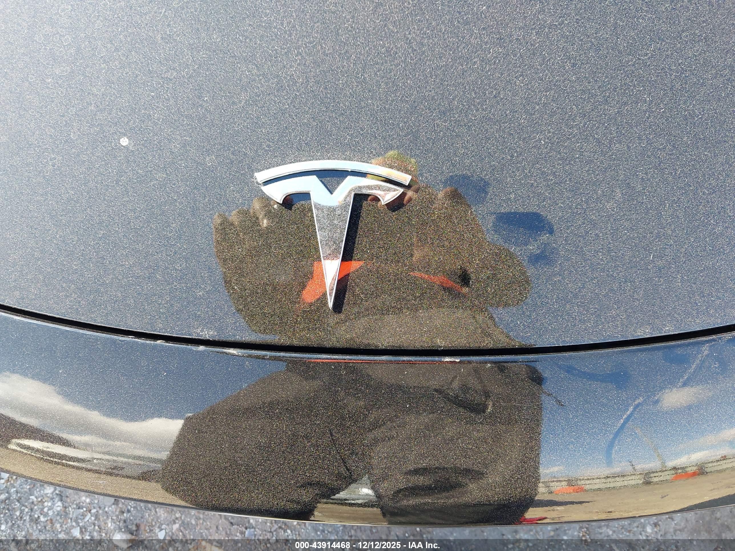 TESLA MODEL image 6
