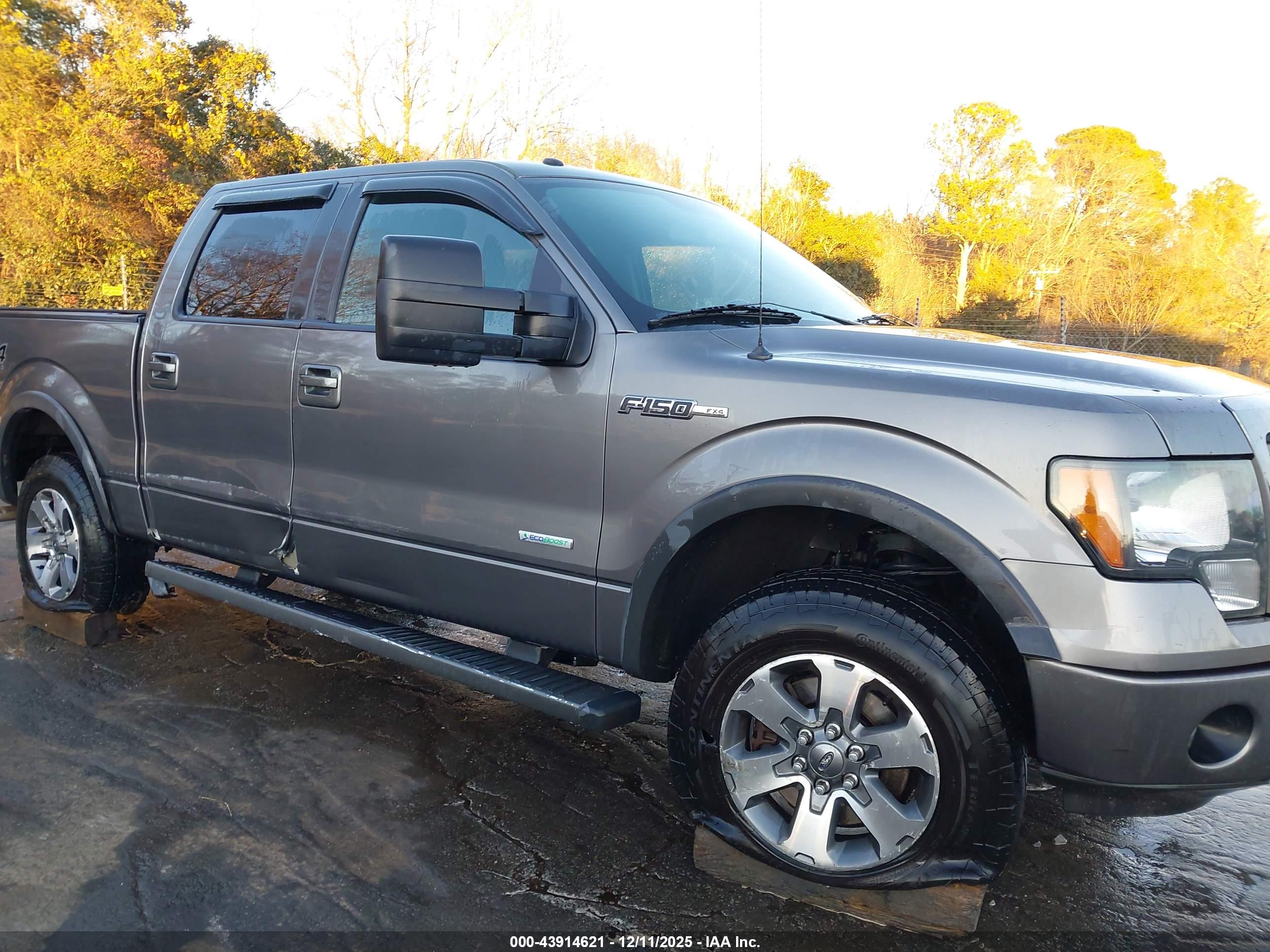 FORD F-150 image 6