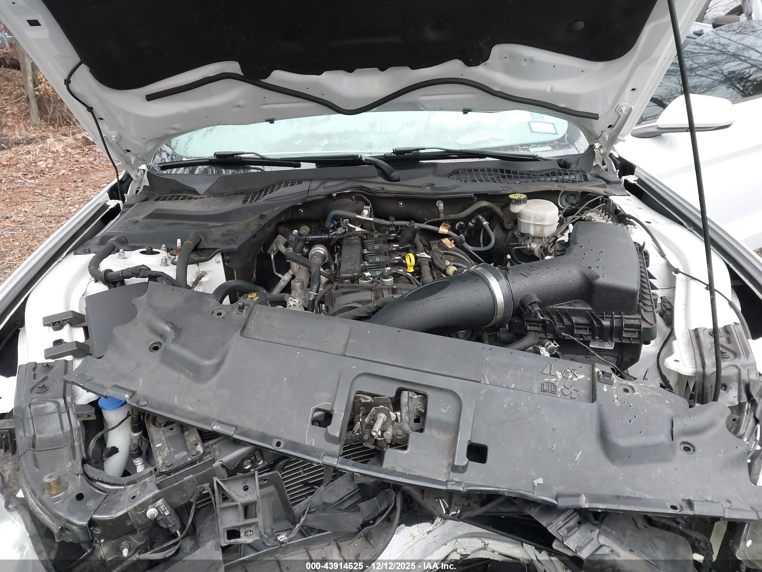 FORD MUSTANG image 10