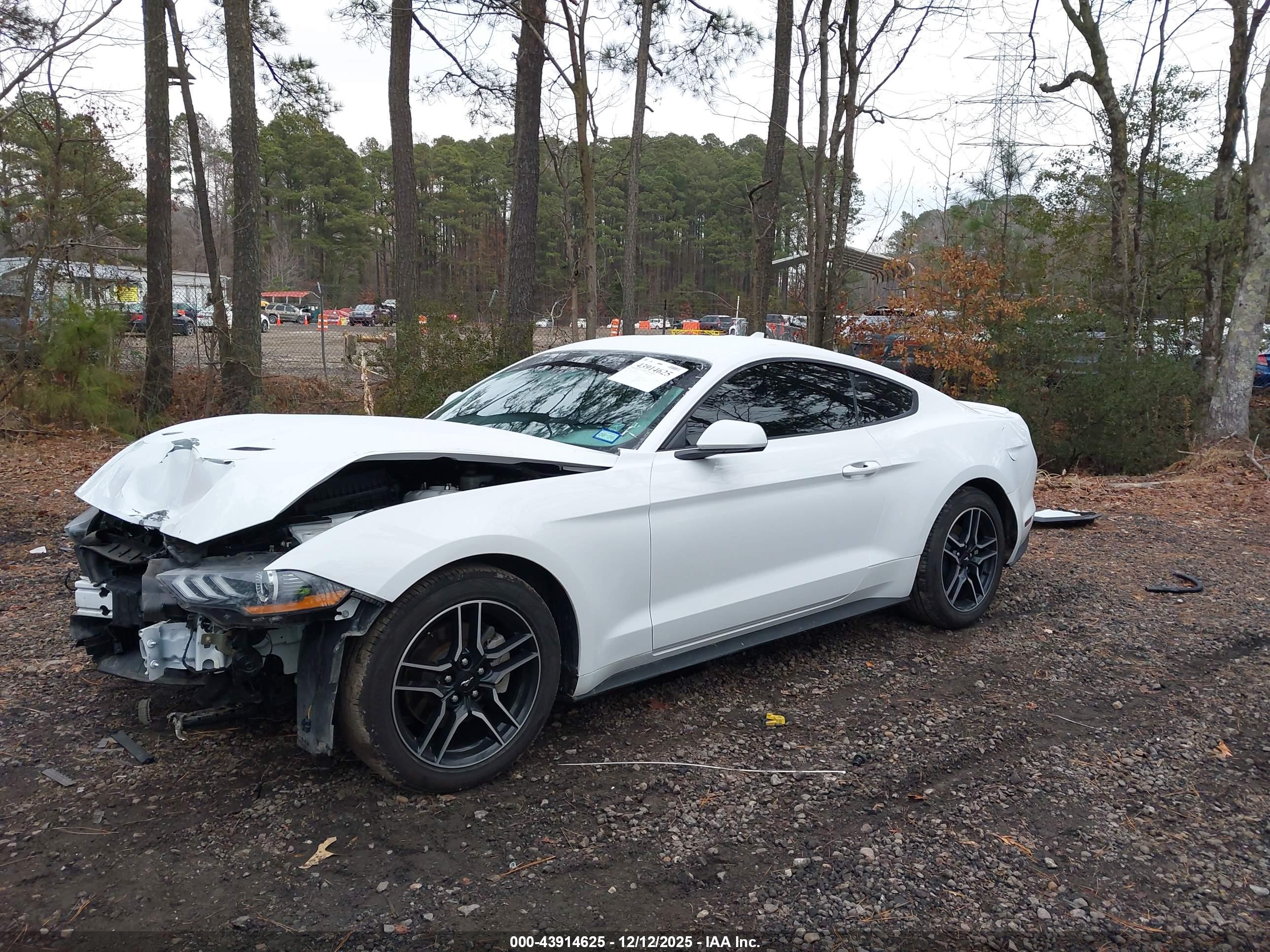 FORD MUSTANG image 2