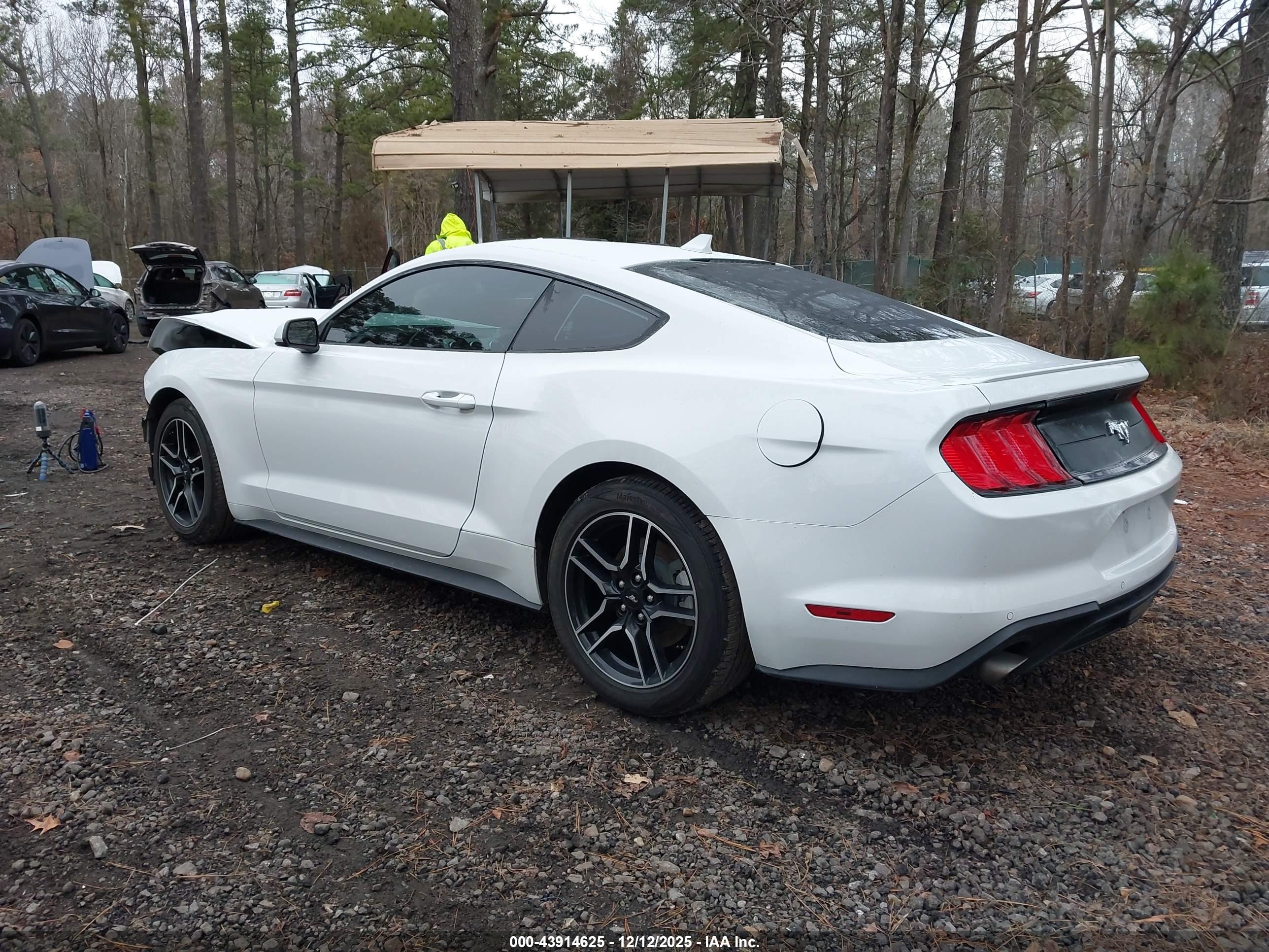 FORD MUSTANG image 3