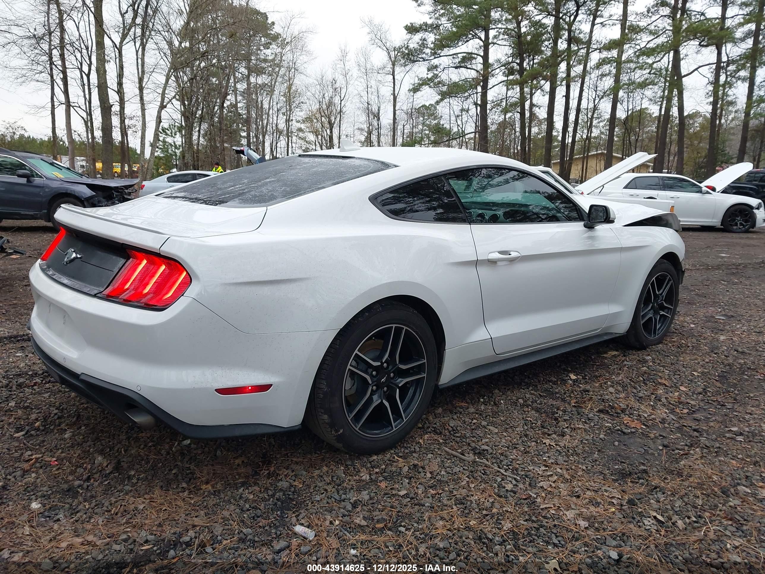 FORD MUSTANG image 4