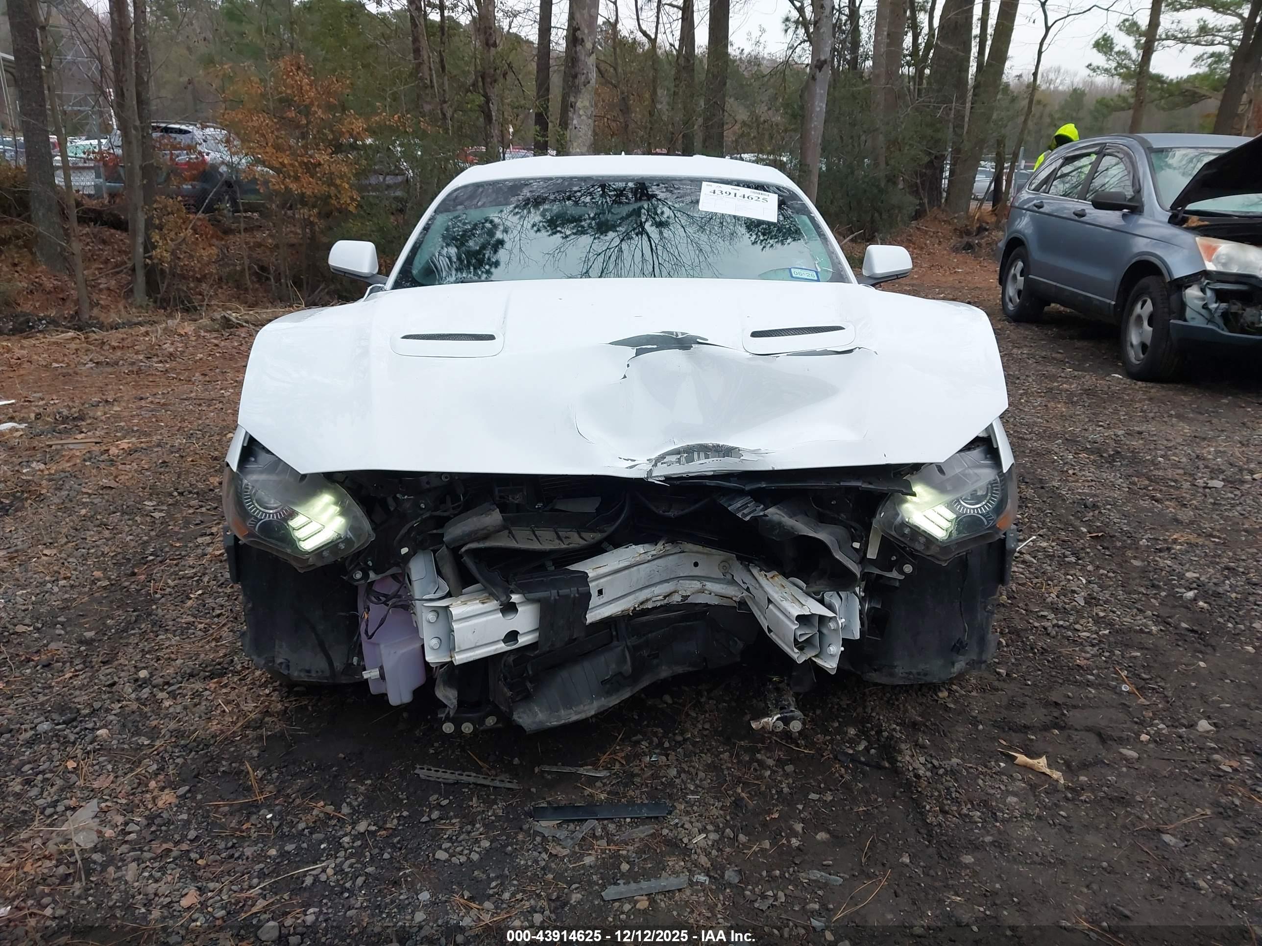 FORD MUSTANG image 6