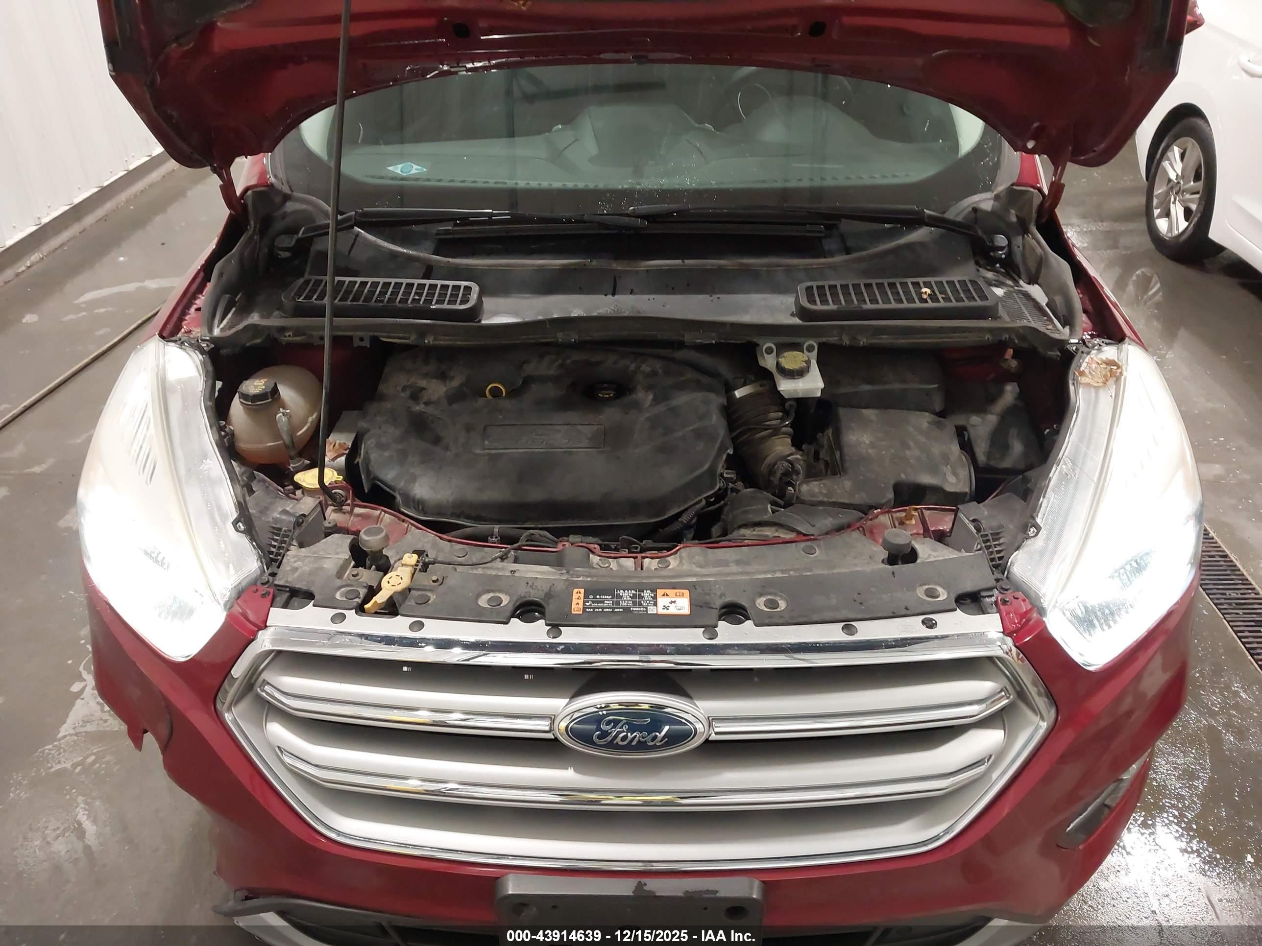 FORD ESCAPE image 10