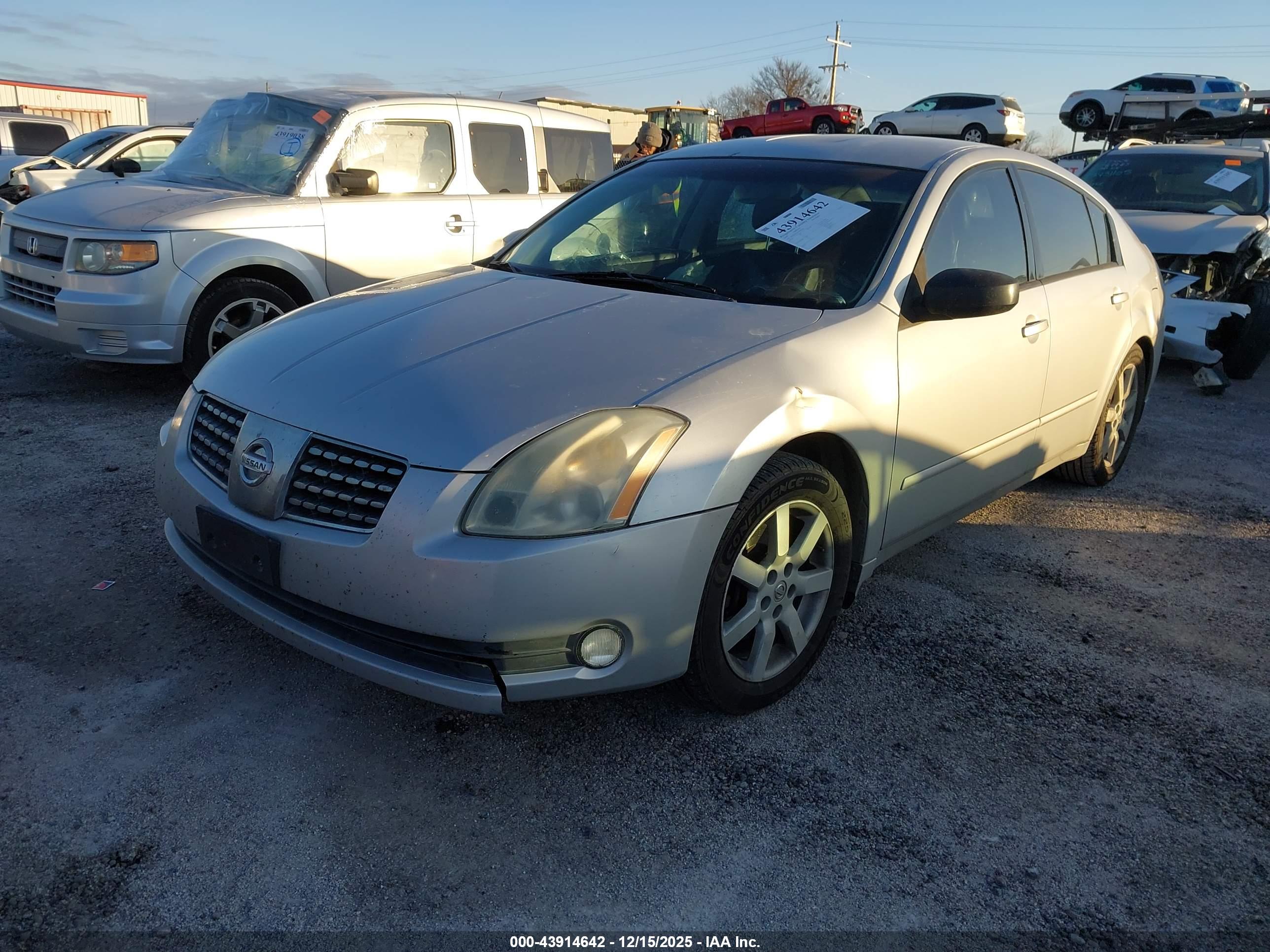 NISSAN MAXIMA image 2
