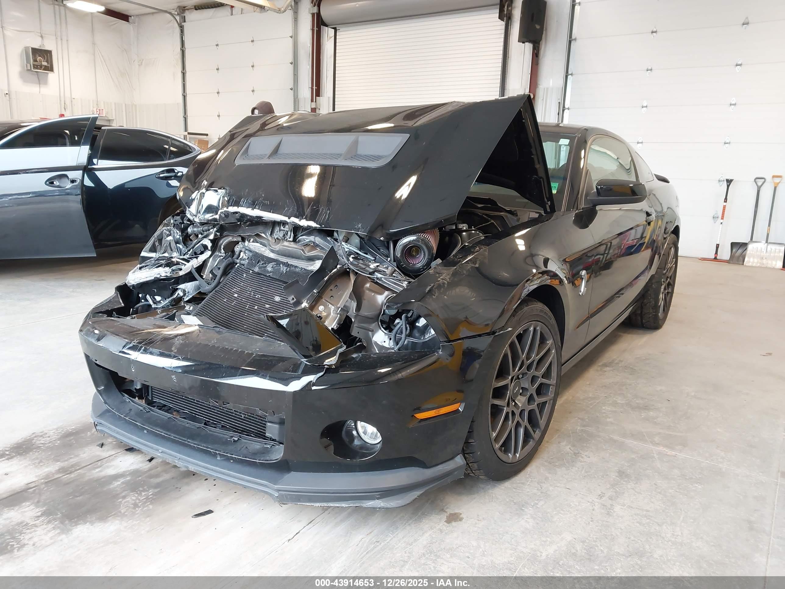 FORD SHELBY image 2