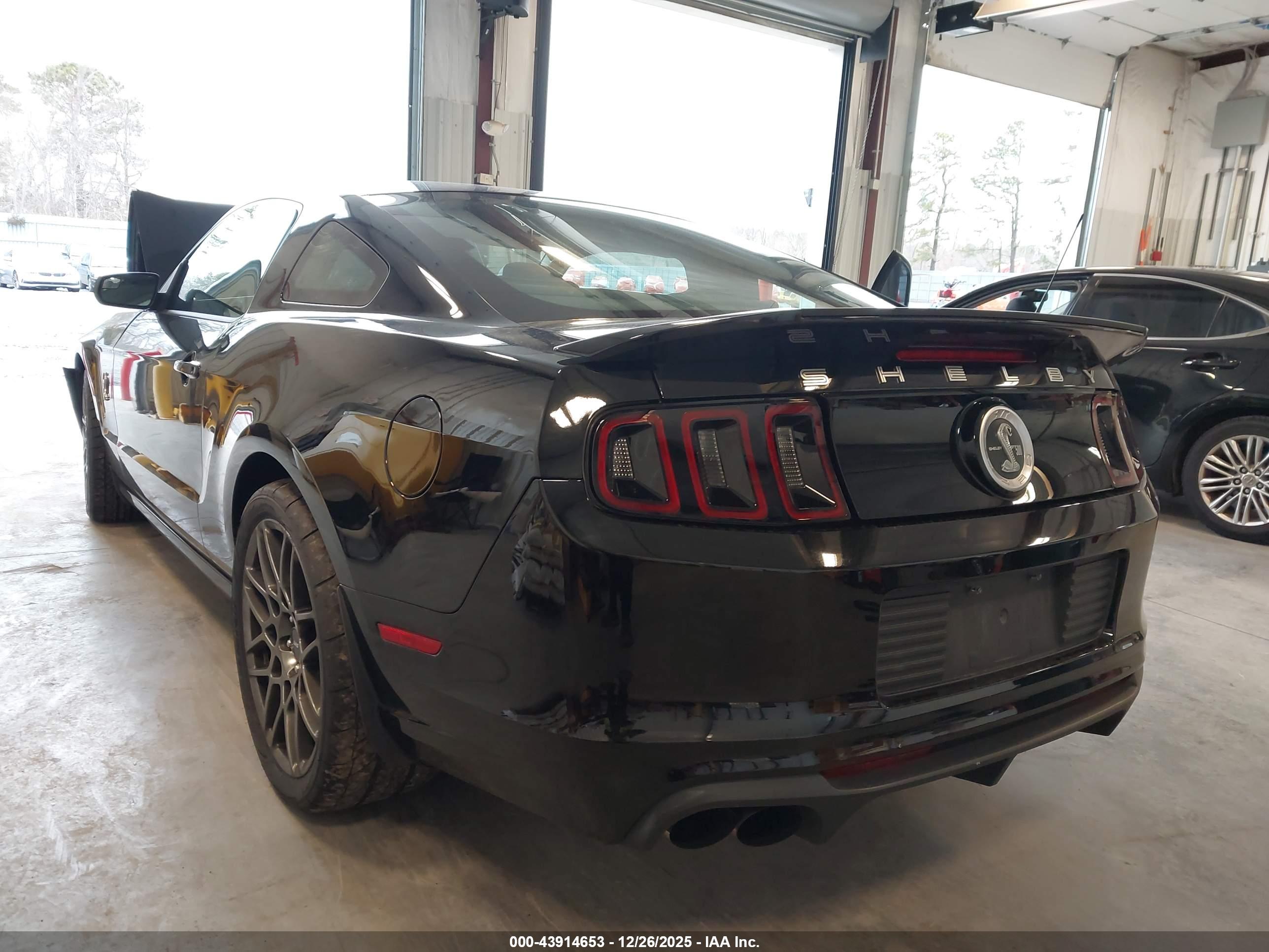 FORD SHELBY image 3