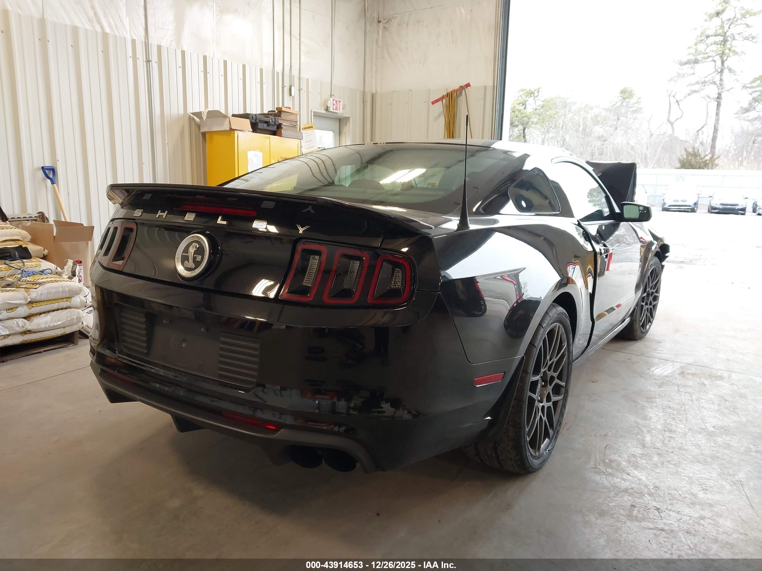FORD SHELBY image 4
