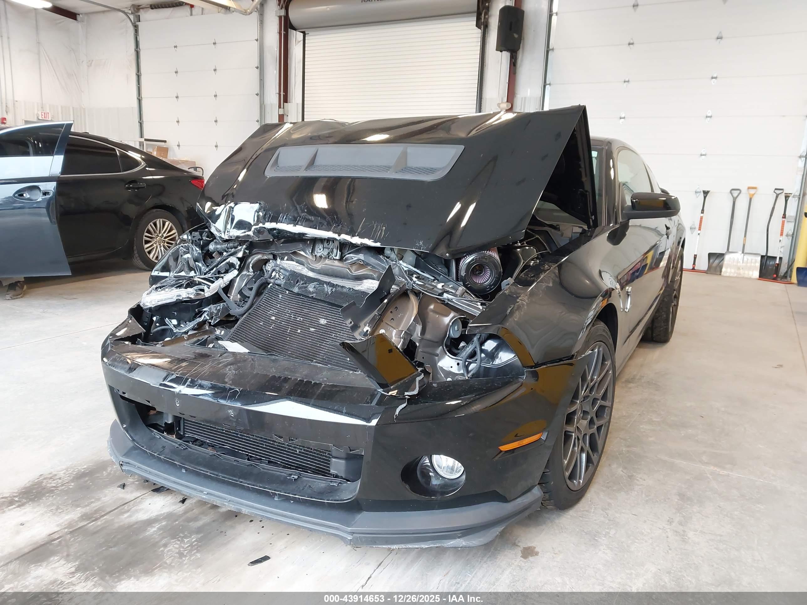 FORD SHELBY image 6