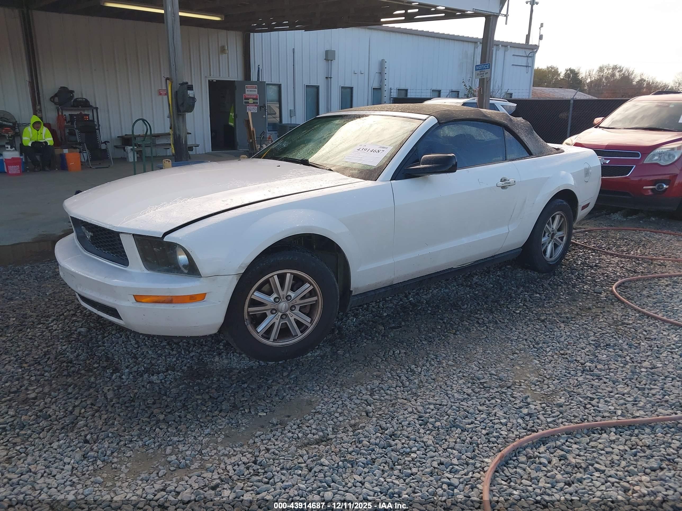 FORD MUSTANG image 2
