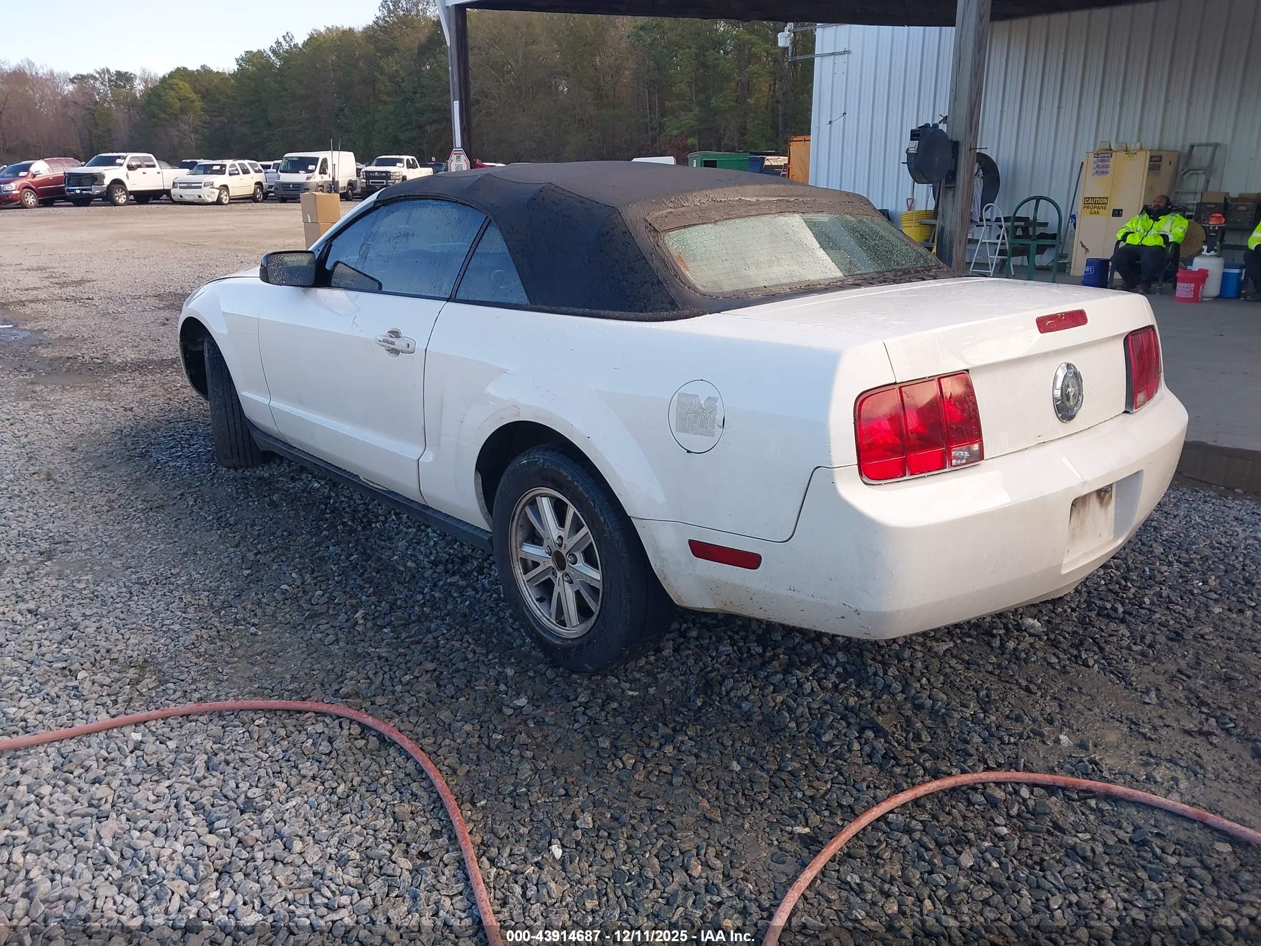FORD MUSTANG image 3