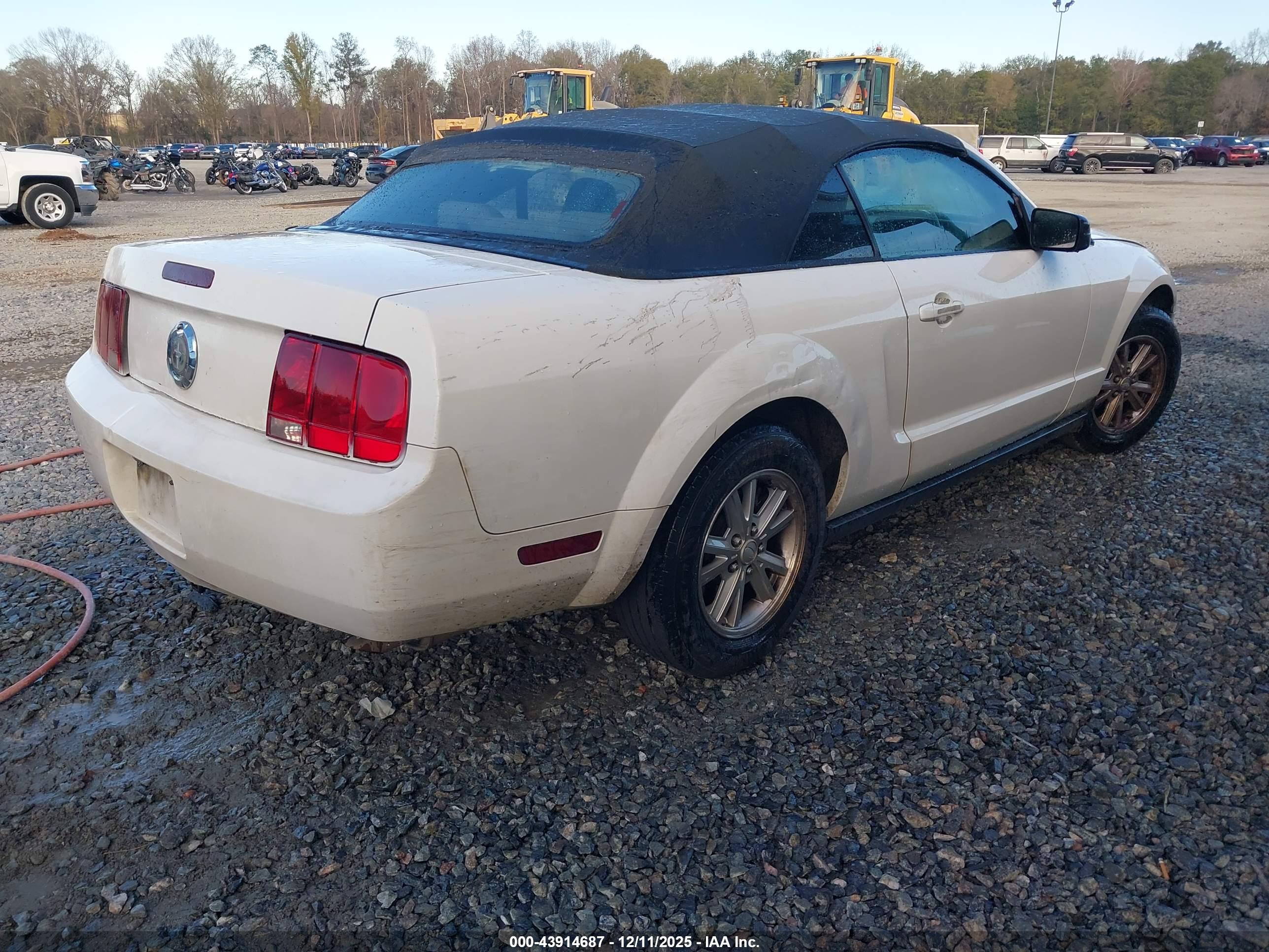 FORD MUSTANG image 4