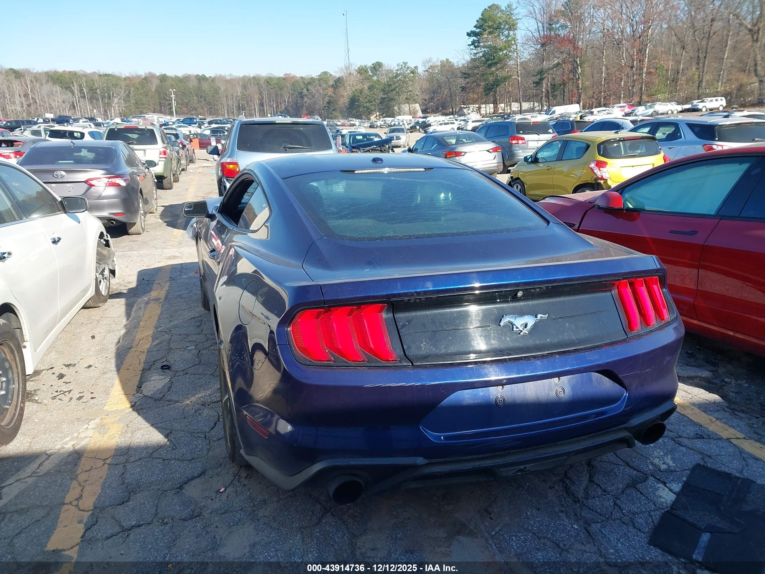 FORD MUSTANG image 3