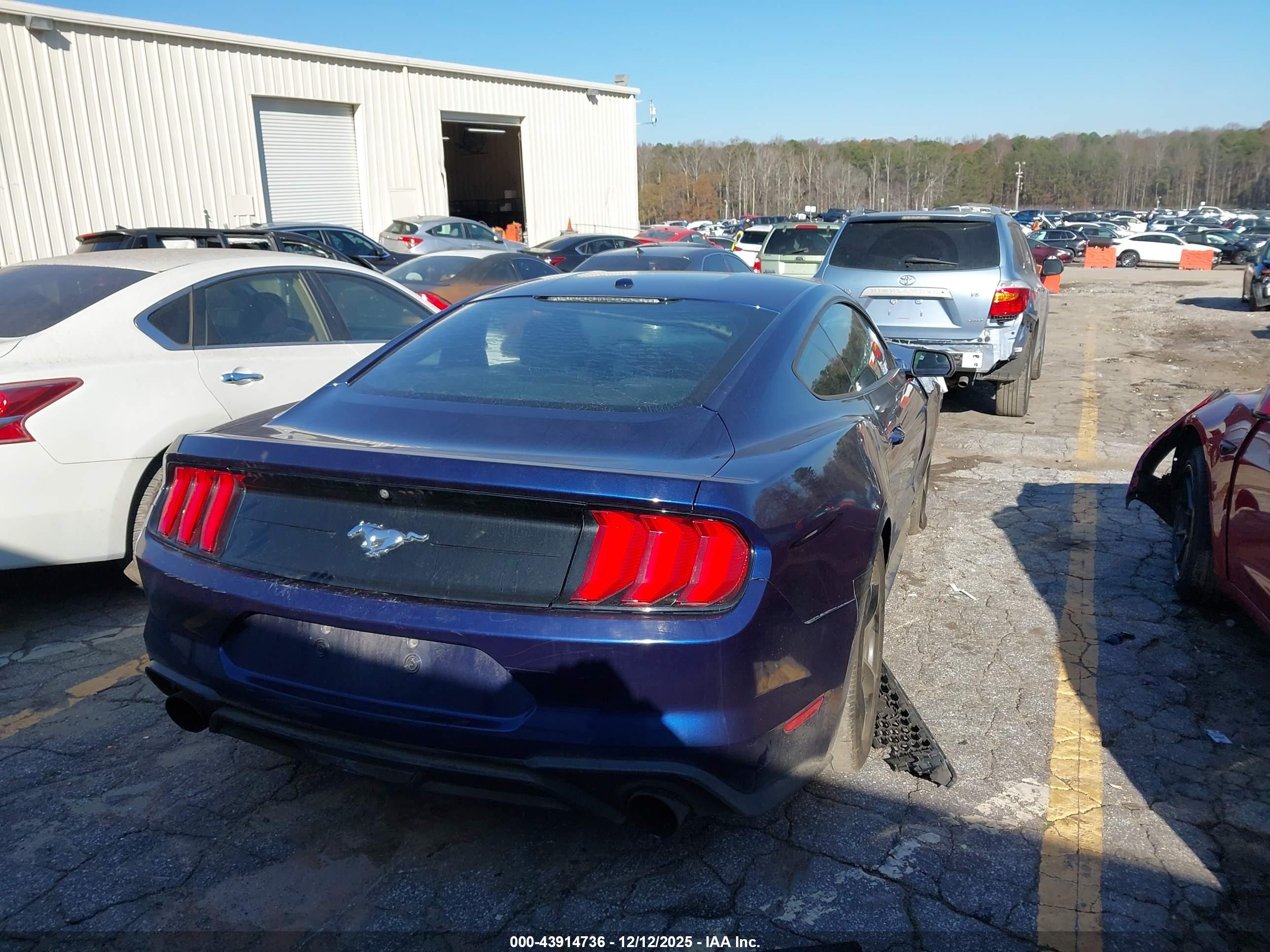 FORD MUSTANG image 4