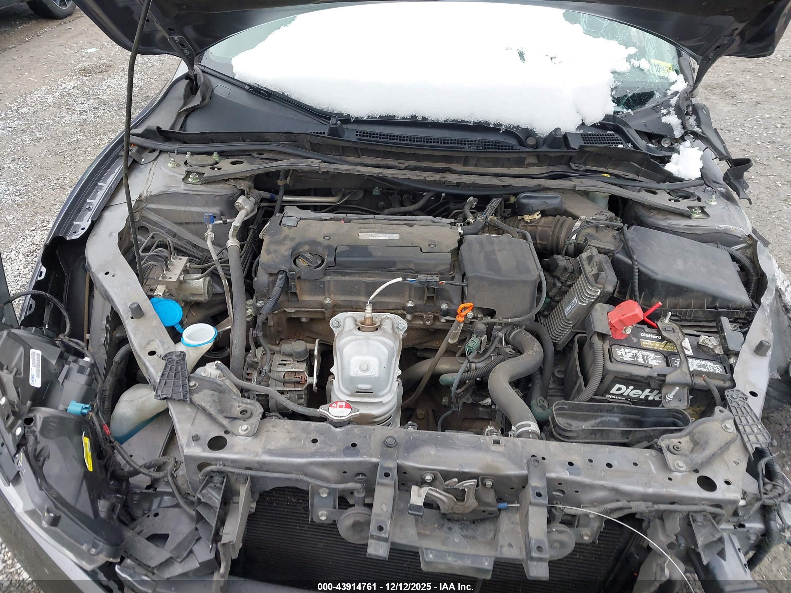 HONDA ACCORD image 10