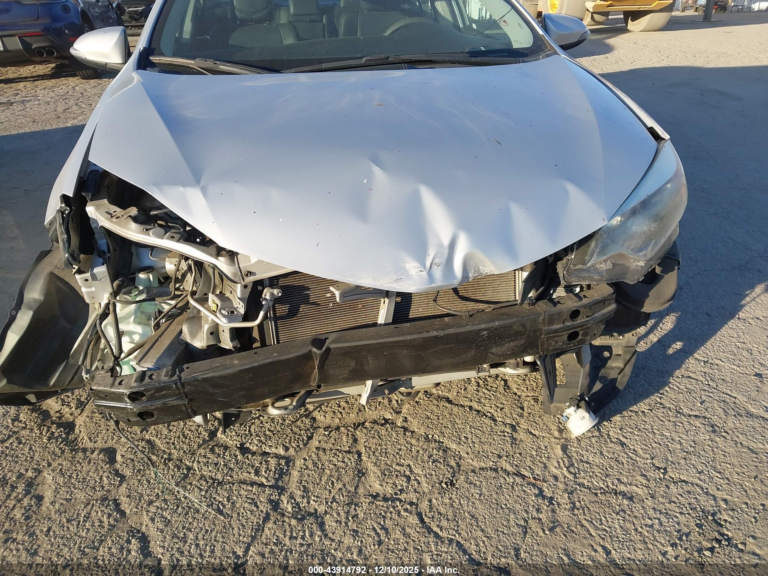 TOYOTA COROLLA image 6