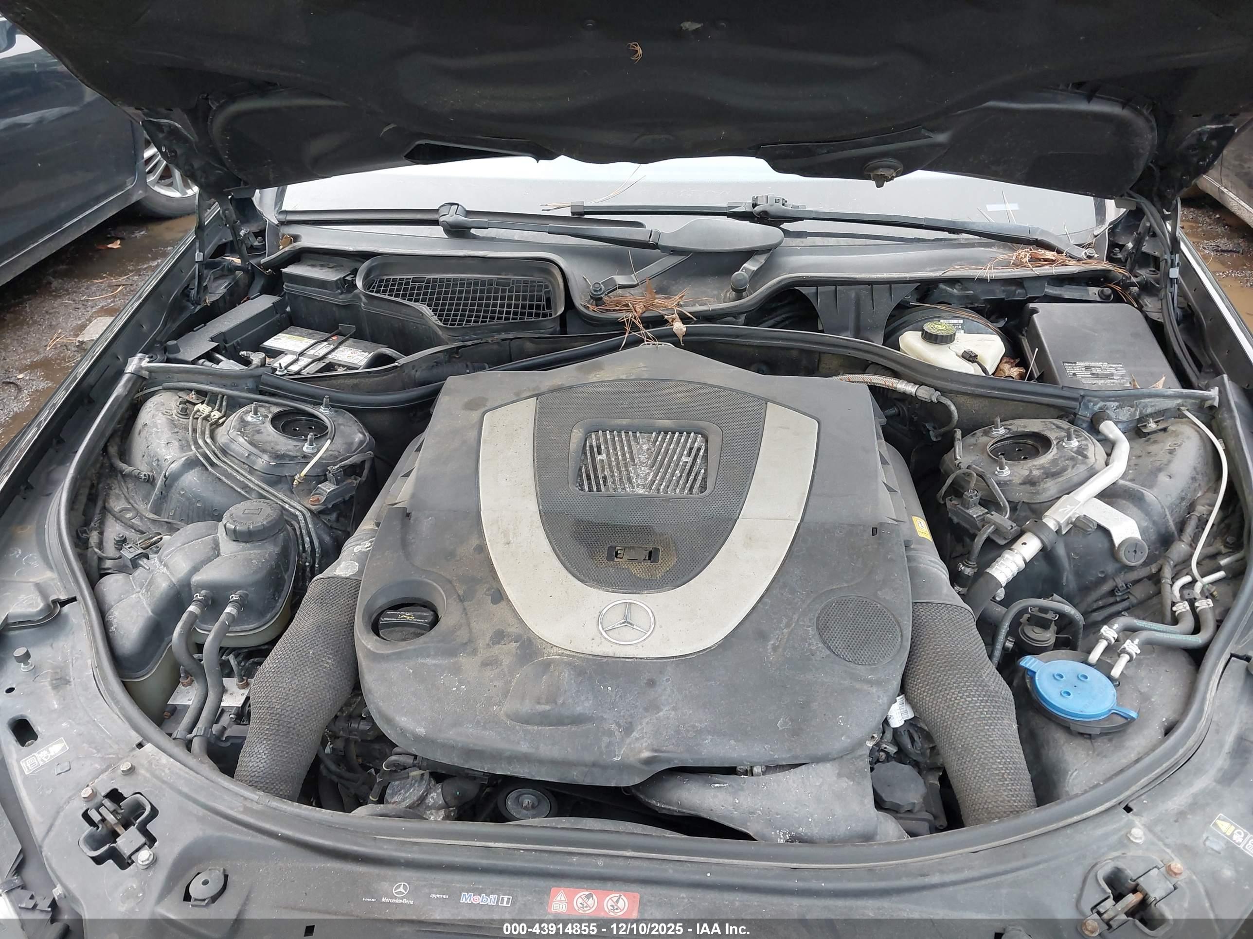 MERCEDES-BENZ S image 10