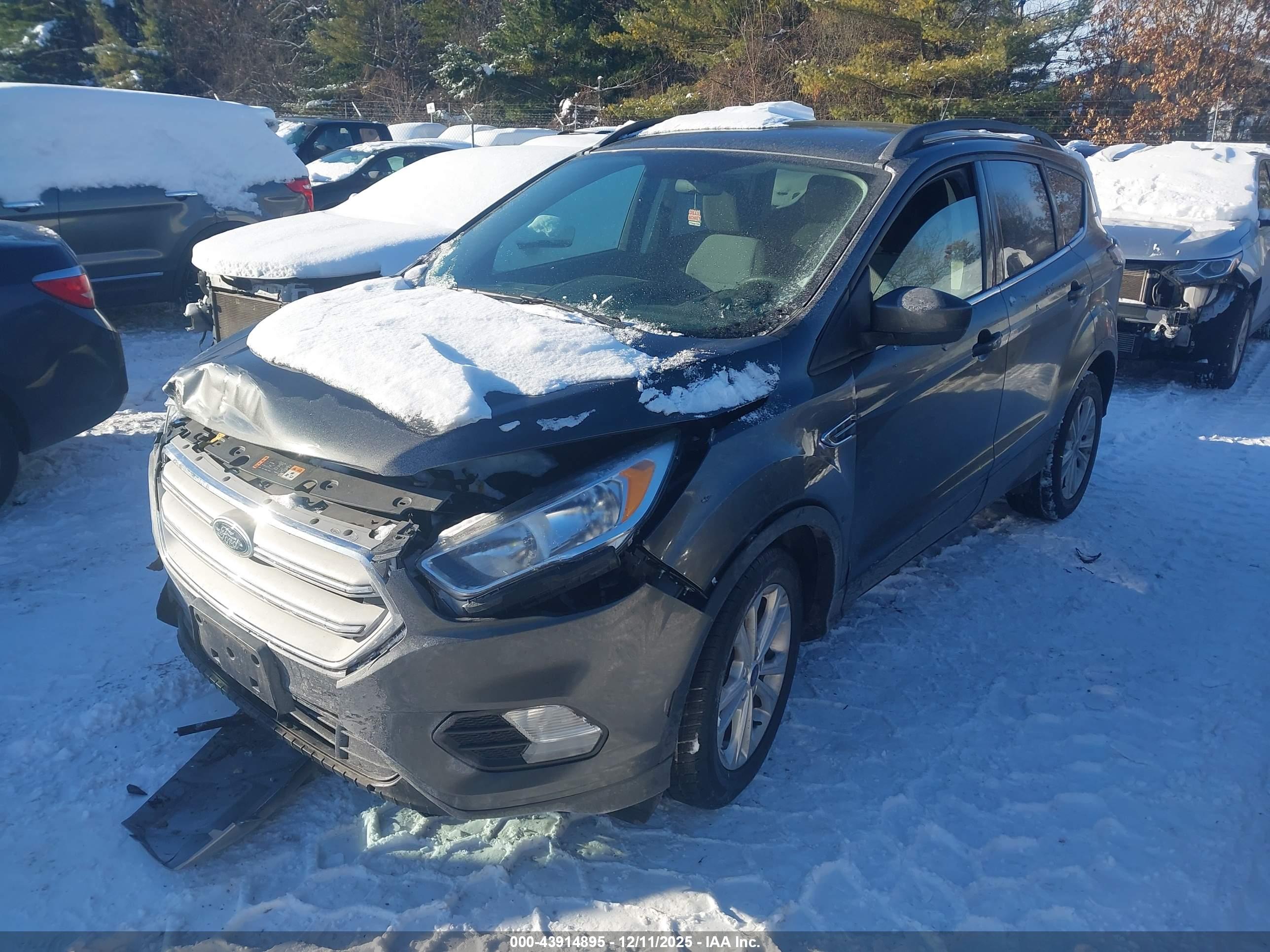 FORD ESCAPE image 2