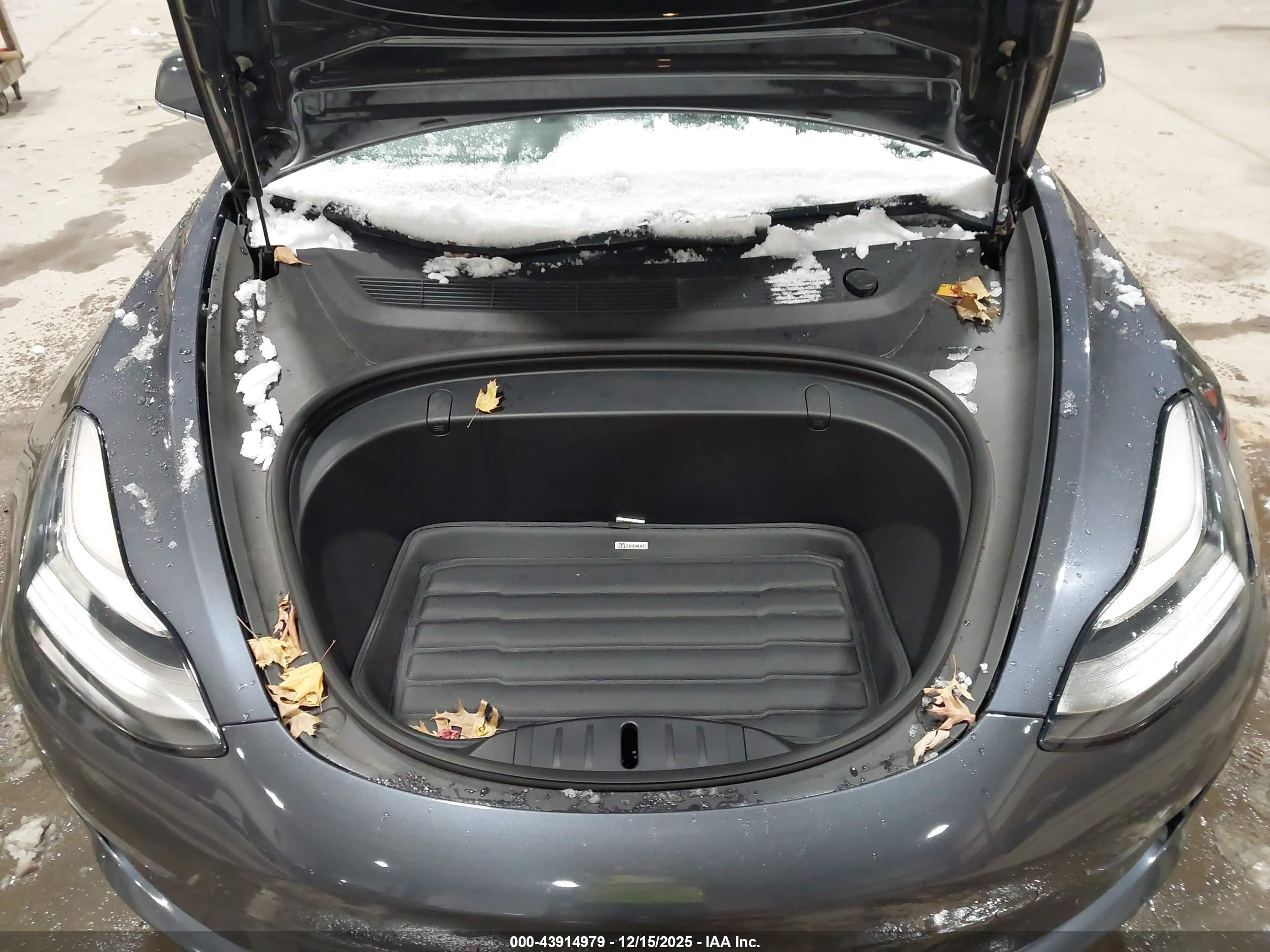 TESLA MODEL image 10