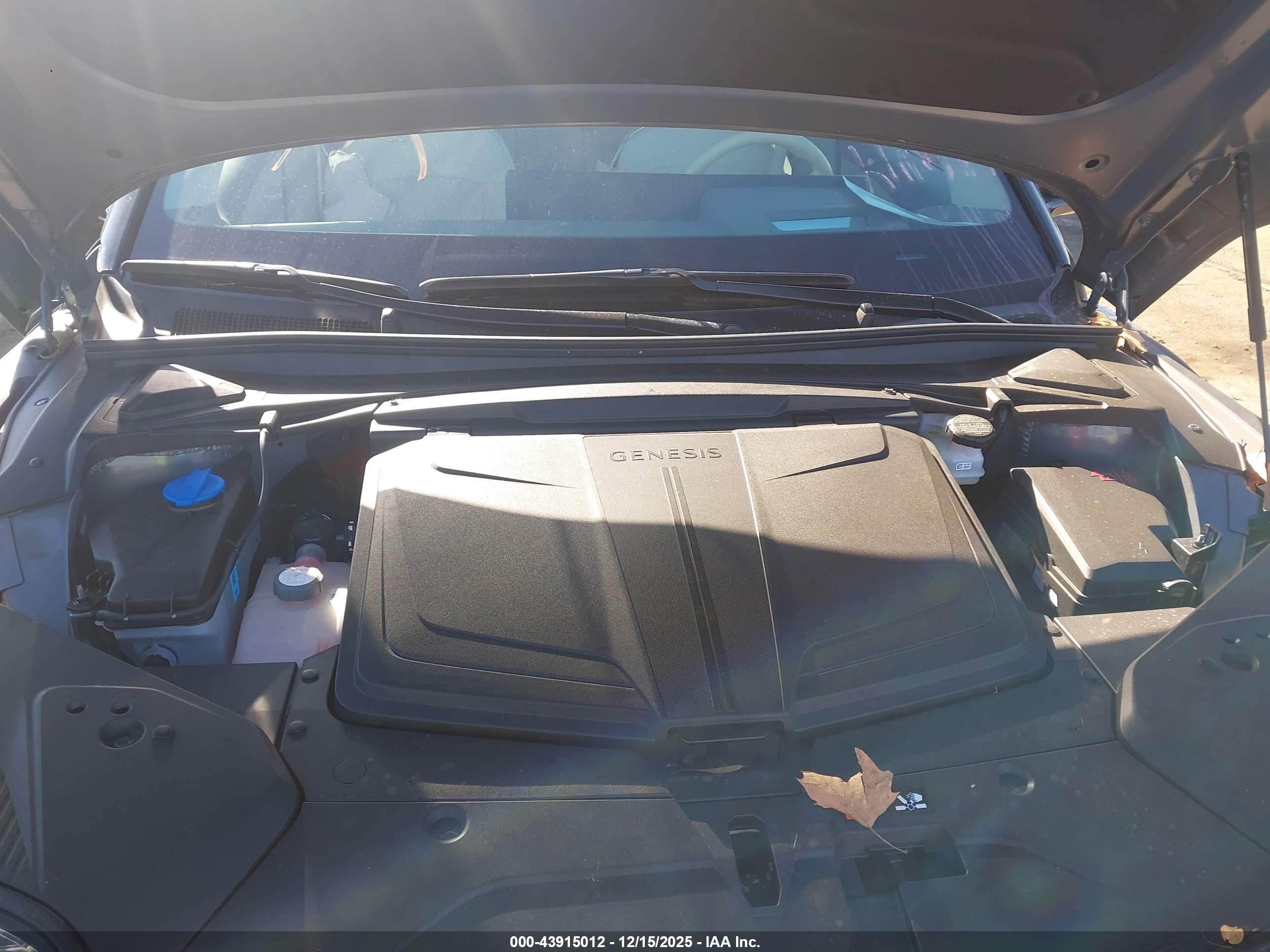 GENESIS GV60 image 10